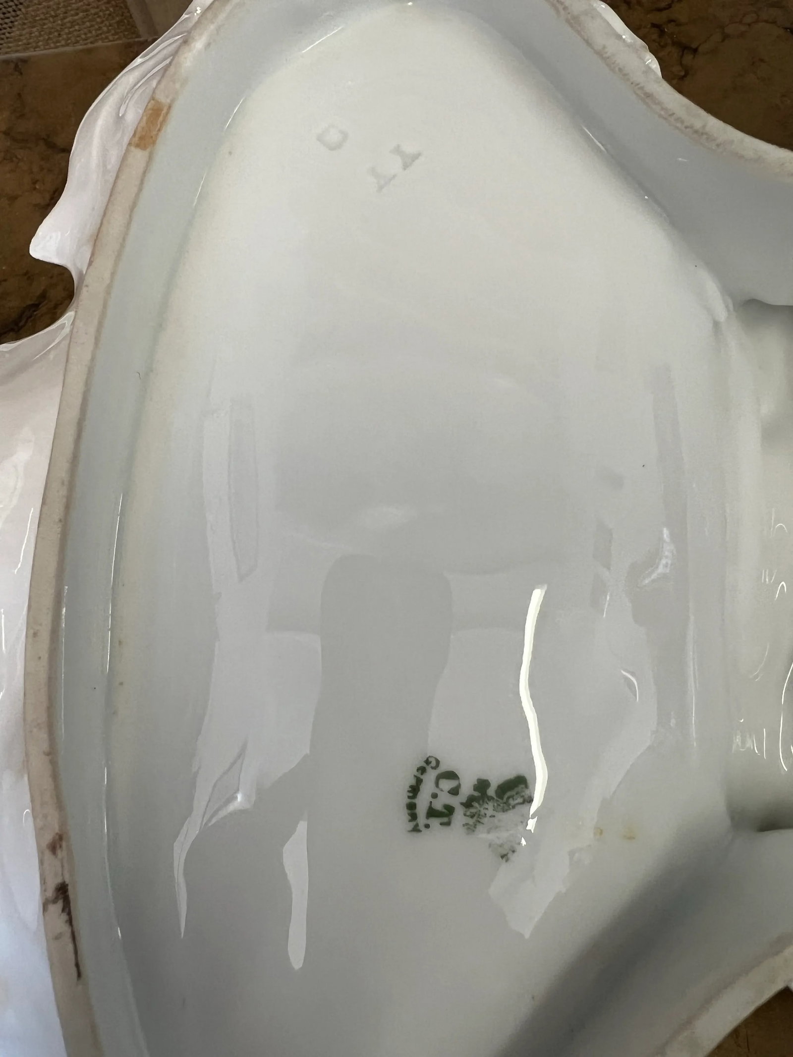 Late 19th Century Carl Tielsch Ct German Porcelain Double Sided Floral Dish With Handle - 6