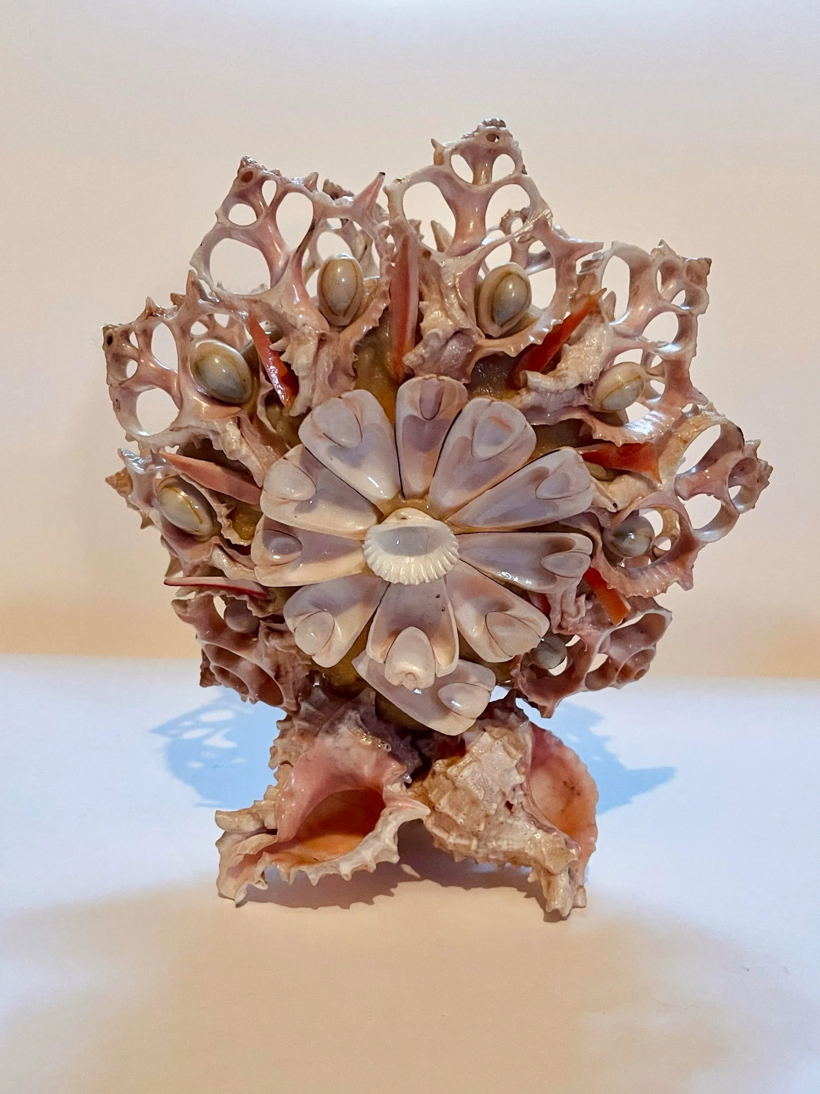 Early 20th Century Seashell Napkin Holder - 2