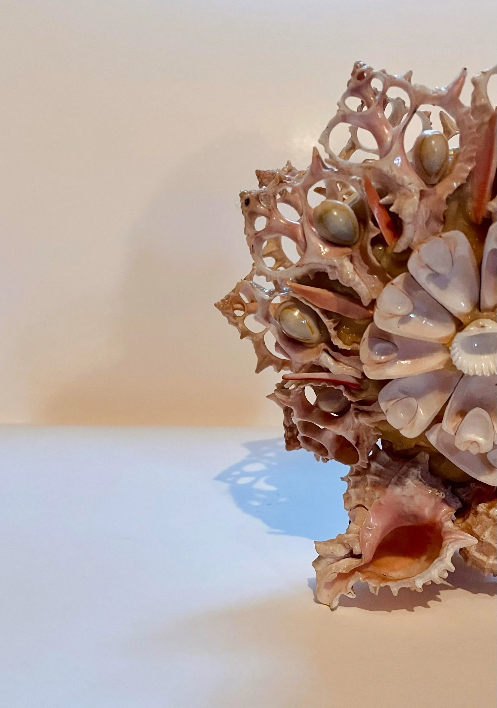 Early 20th Century Seashell Napkin Holder - 5