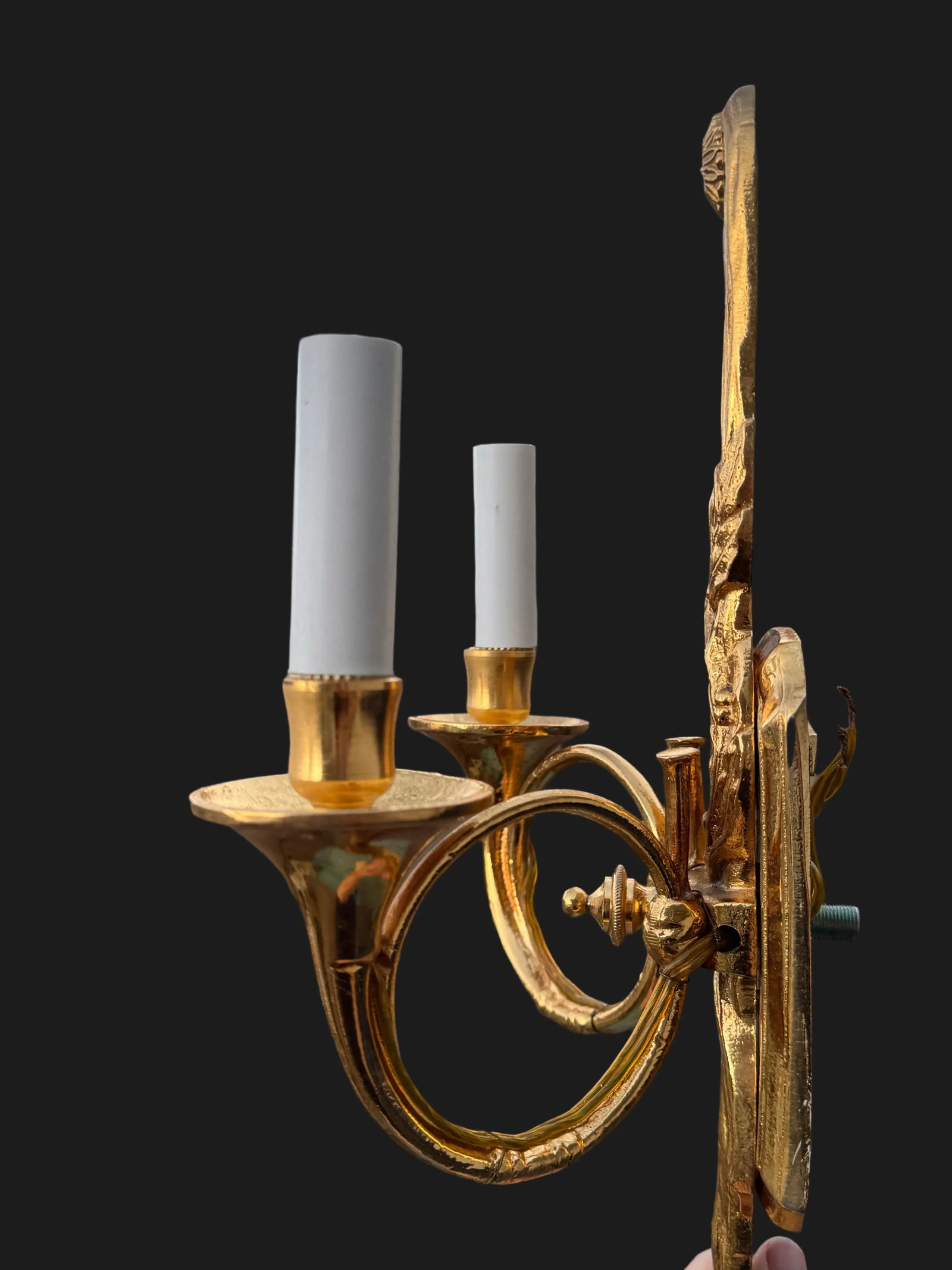 Italian Horn Wall Sconce - 4