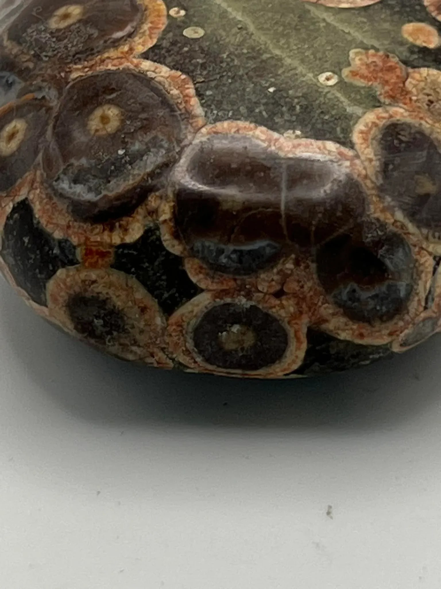 Vintage Jasper Snuff Bottle With Sea Fossils - 11