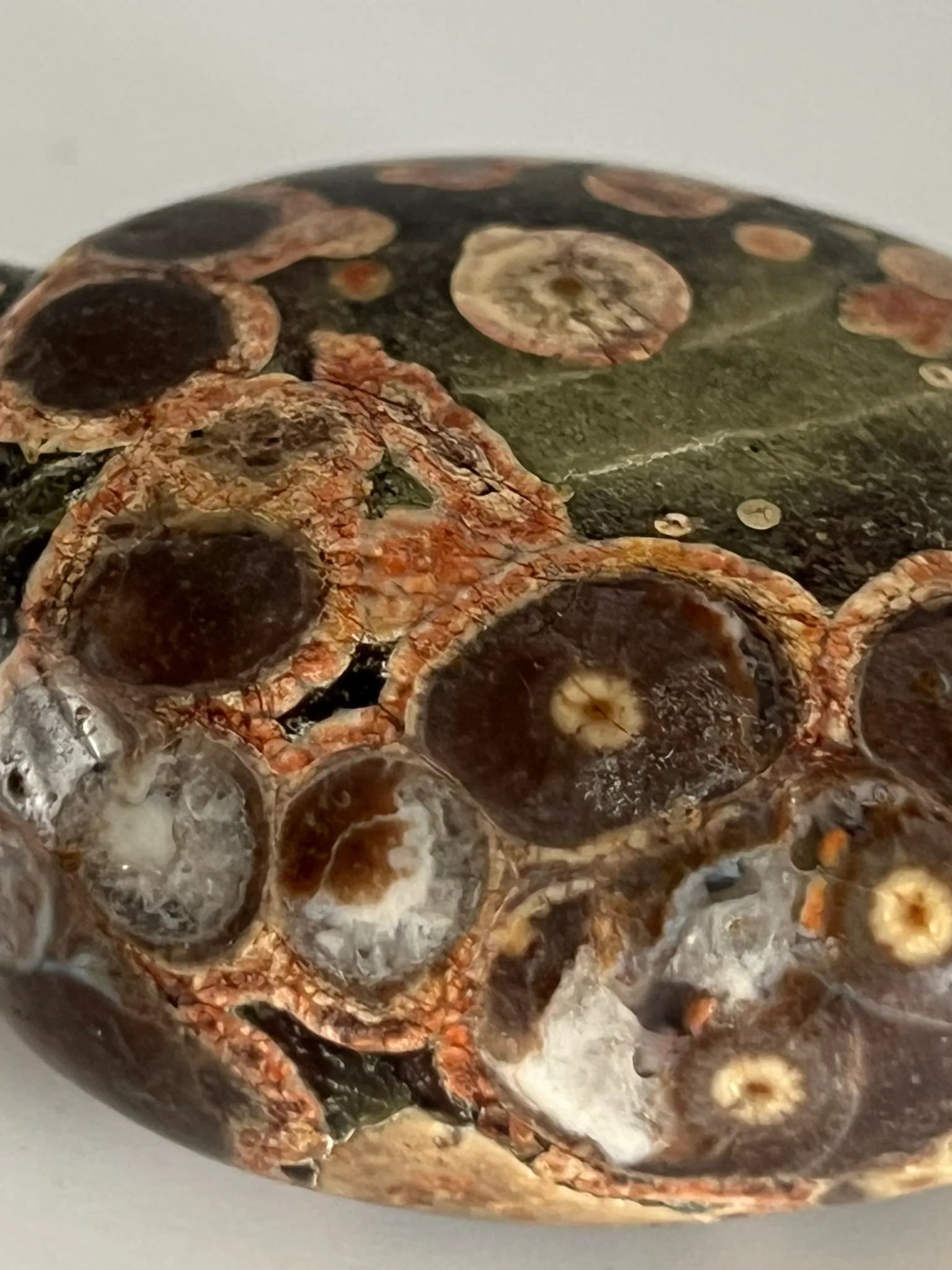 Vintage Jasper Snuff Bottle With Sea Fossils - 12