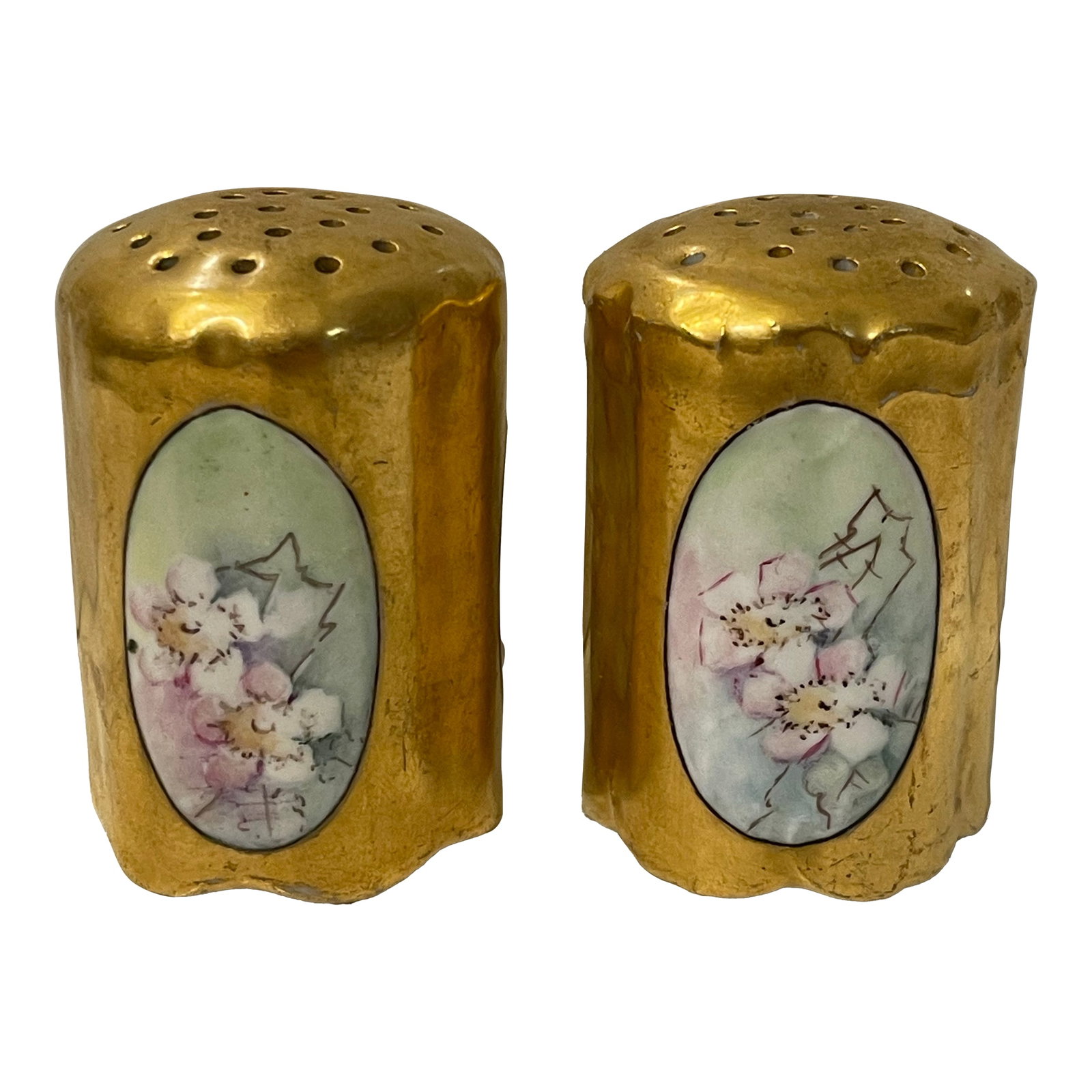 Late 19th Century Rosenthal Philip Bavaria Hand-Painted Gold Leaf Salt & Pepper Shakers- a Pair (1 of 11)