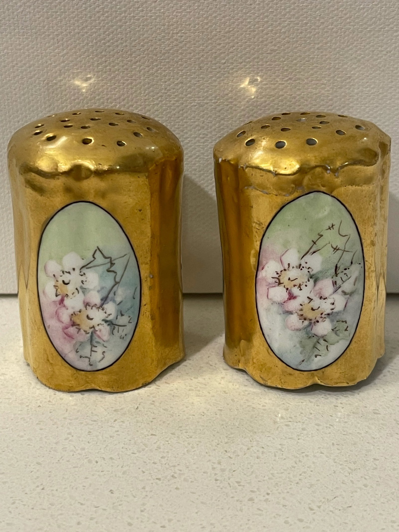 Late 19th Century Rosenthal Philip Bavaria Hand-Painted Gold Leaf Salt & Pepper Shakers- a Pair - 2