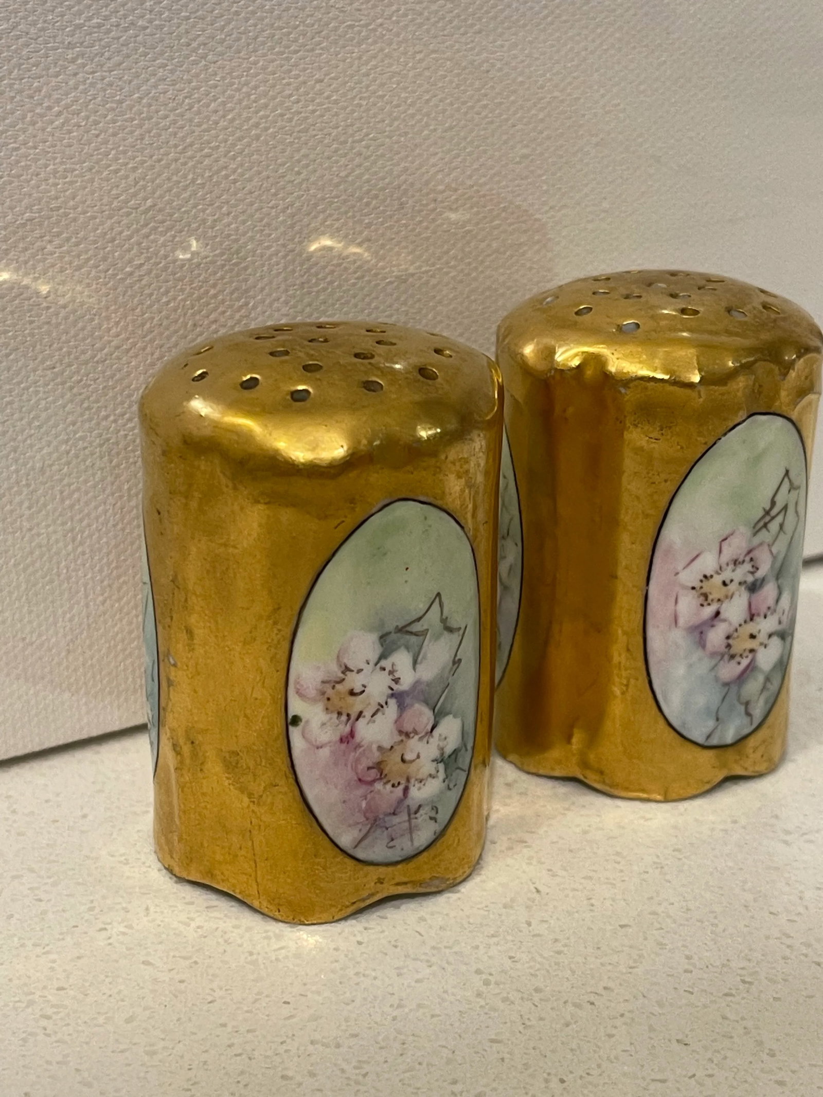 Late 19th Century Rosenthal Philip Bavaria Hand-Painted Gold Leaf Salt & Pepper Shakers- a Pair - 3