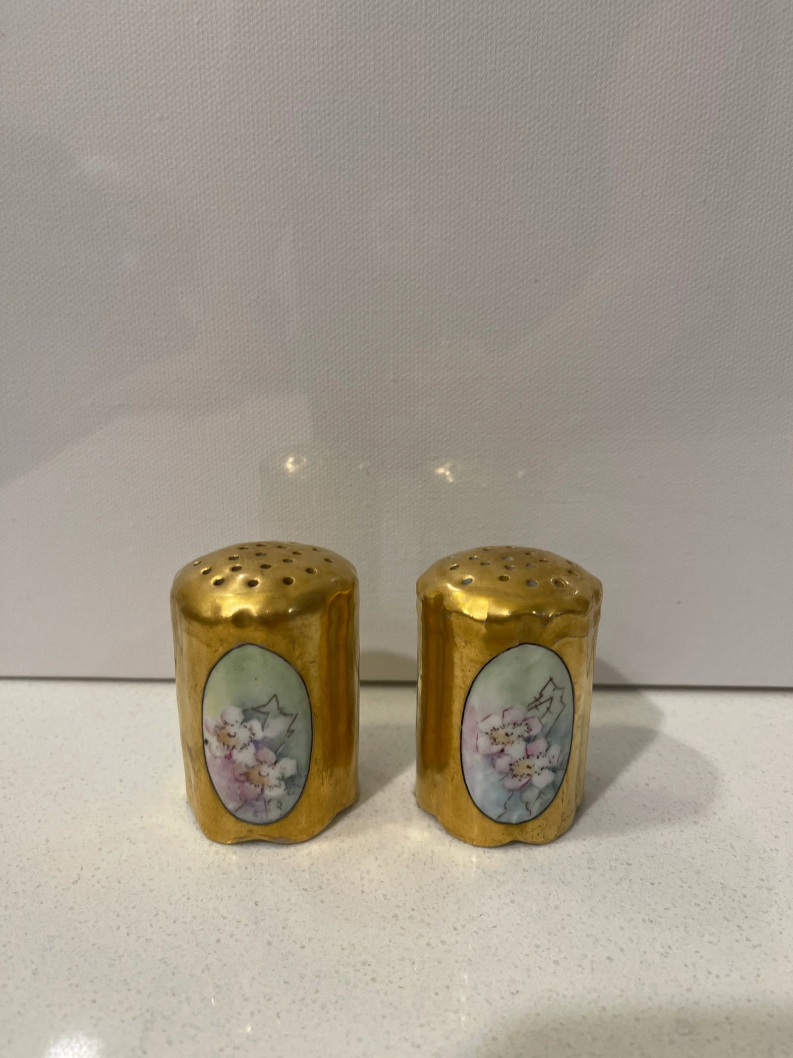 Late 19th Century Rosenthal Philip Bavaria Hand-Painted Gold Leaf Salt & Pepper Shakers- a Pair - 5