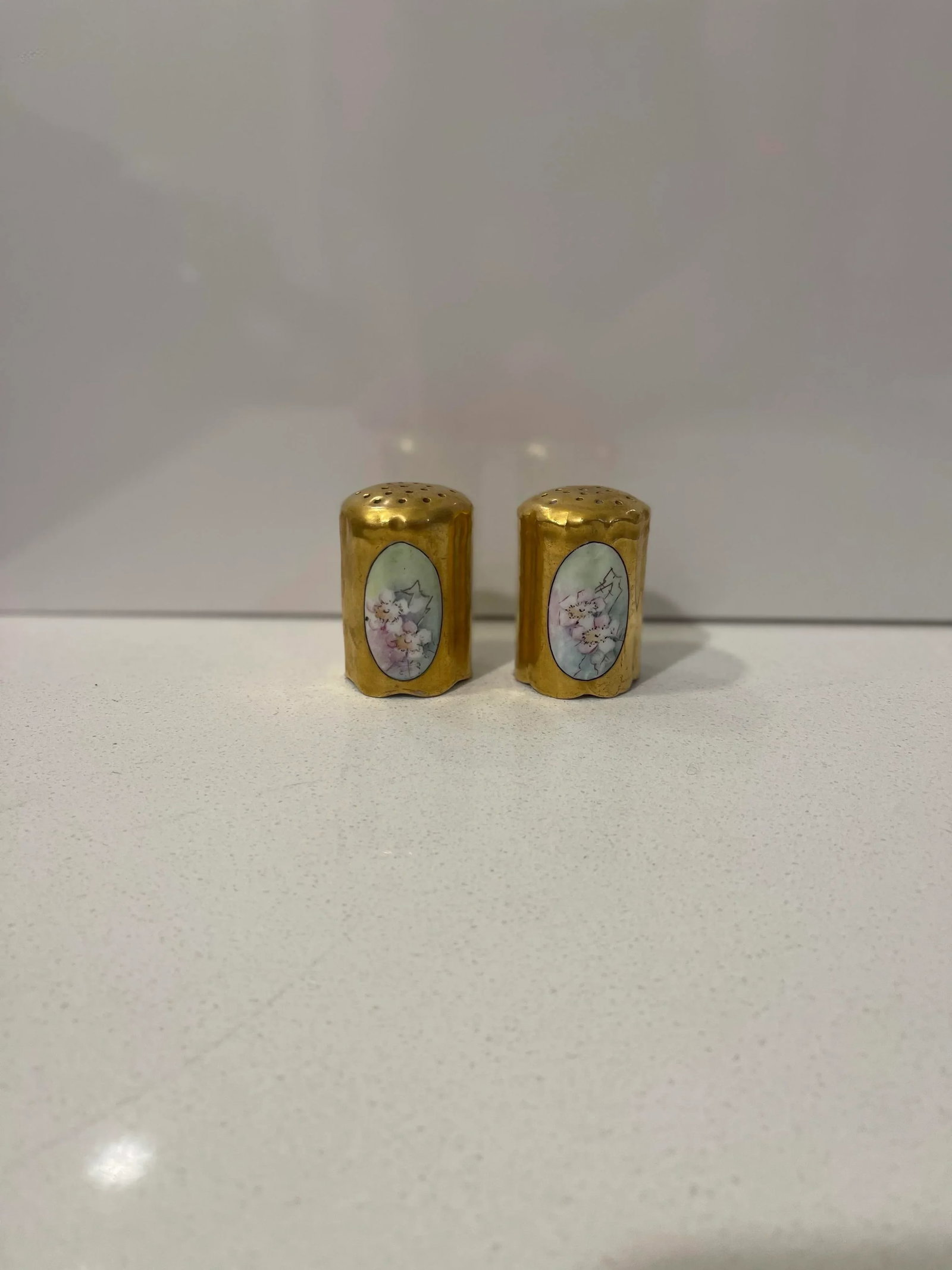 Late 19th Century Rosenthal Philip Bavaria Hand-Painted Gold Leaf Salt & Pepper Shakers- a Pair - 7