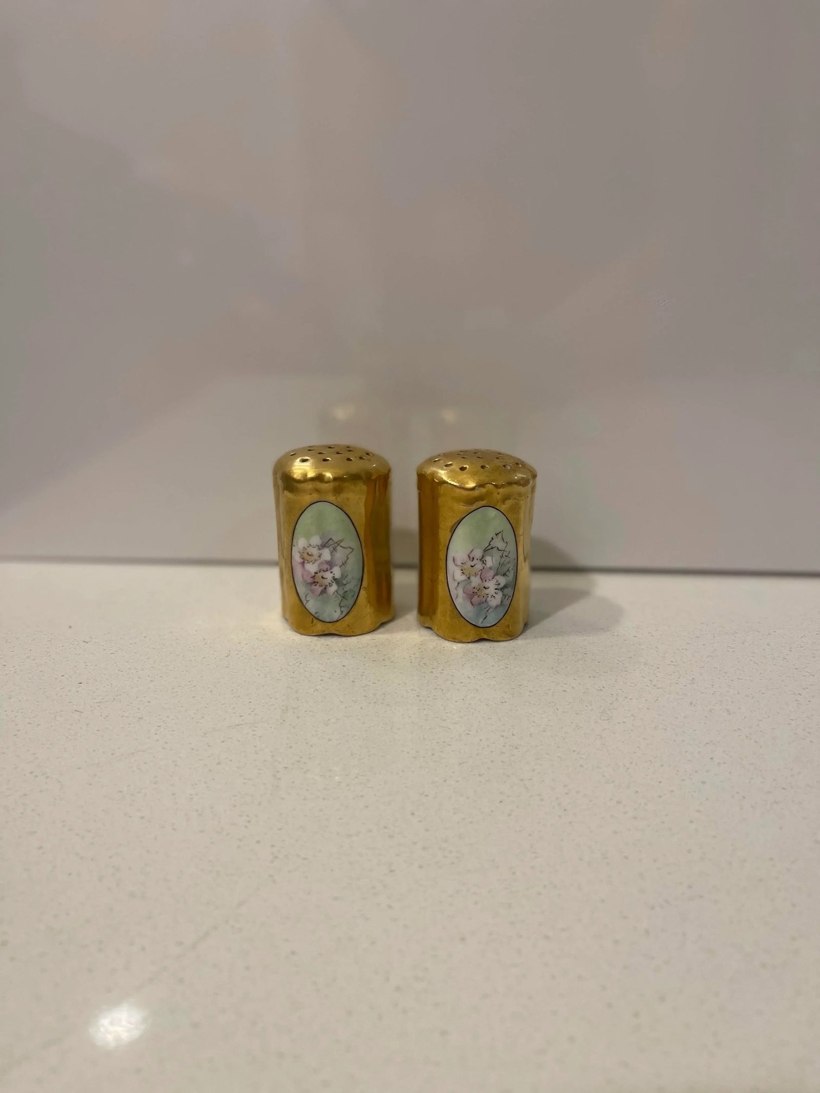Late 19th Century Rosenthal Philip Bavaria Hand-Painted Gold Leaf Salt & Pepper Shakers- a Pair - 8
