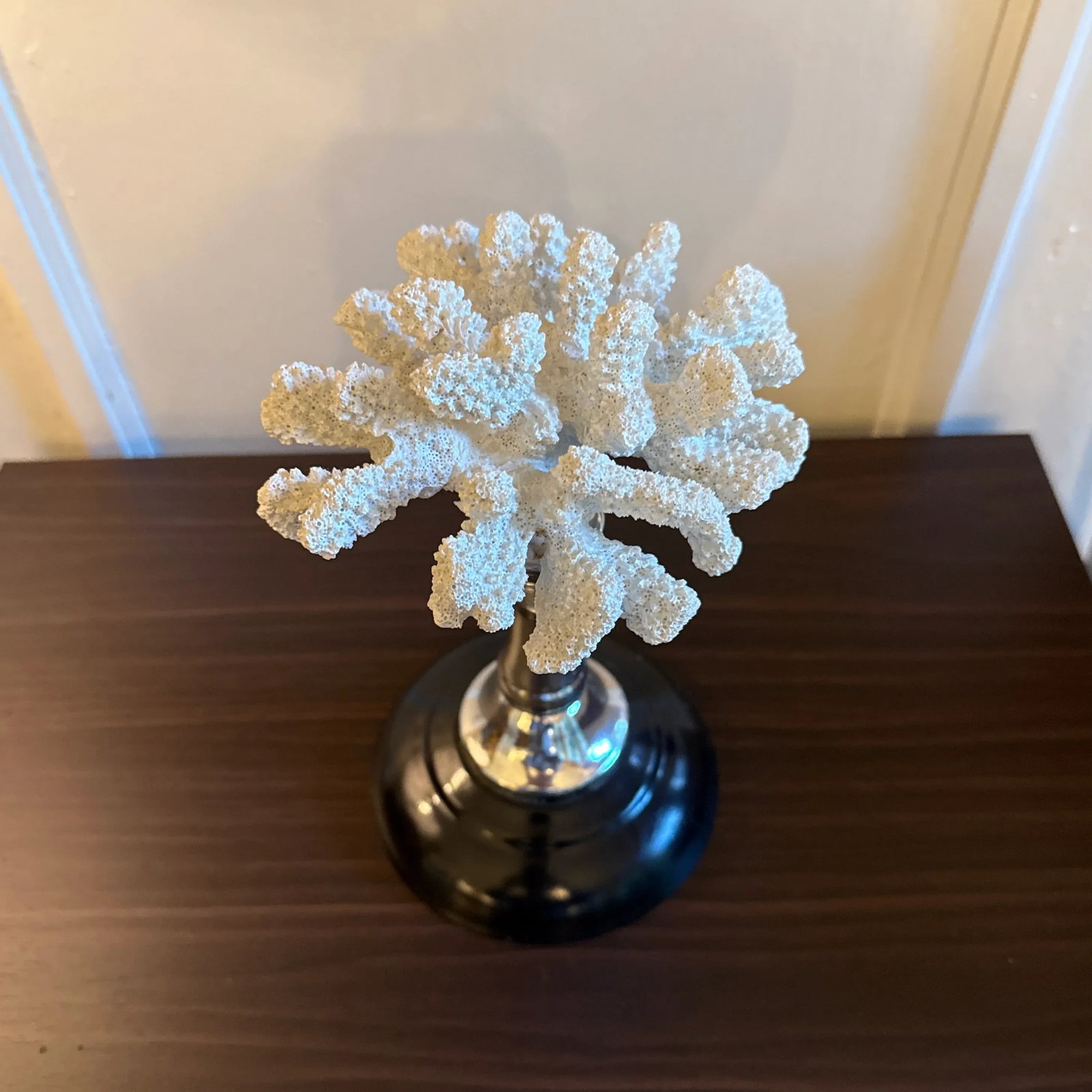 Faux Coral Specimen on Stand - 3