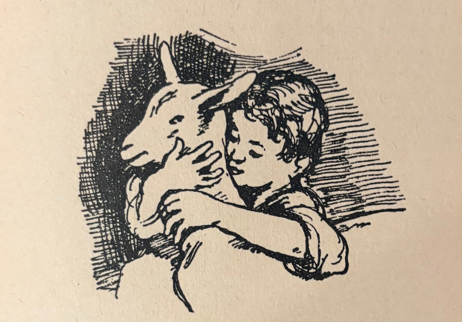 1950's French Language Edition of Johanna Spyri's Classic Heidi Series- Set of 3 - 11