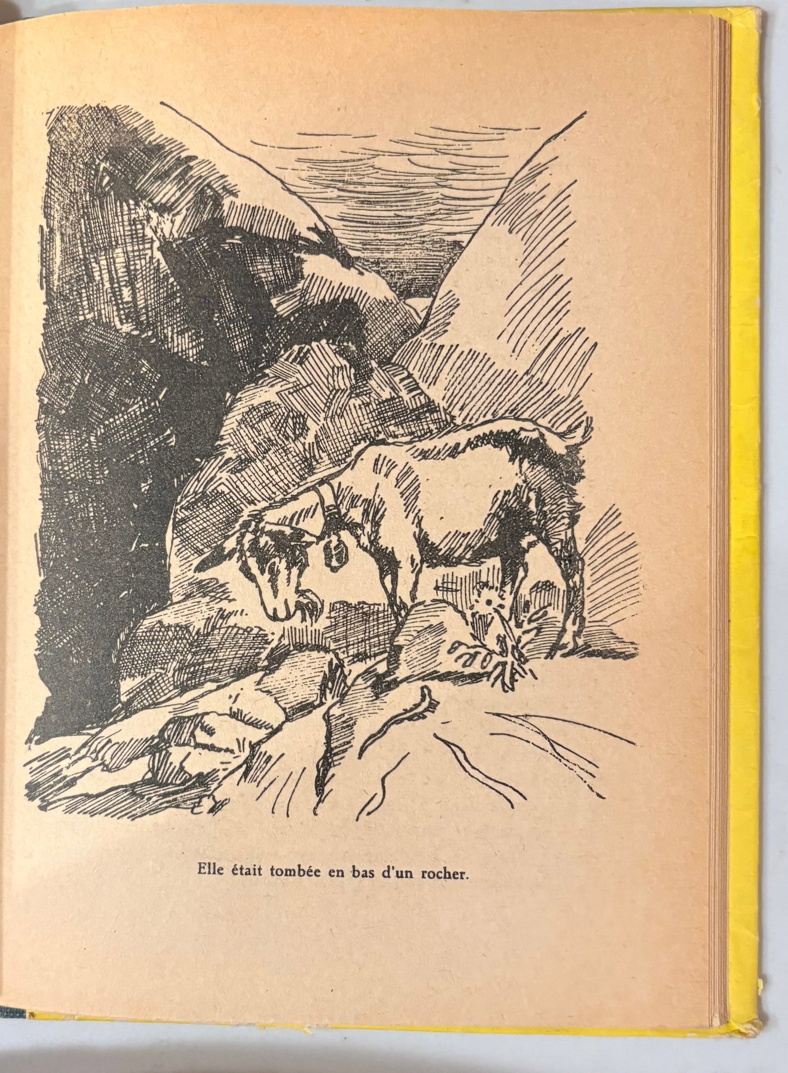 1950's French Language Edition of Johanna Spyri's Classic Heidi Series- Set of 3 - 13