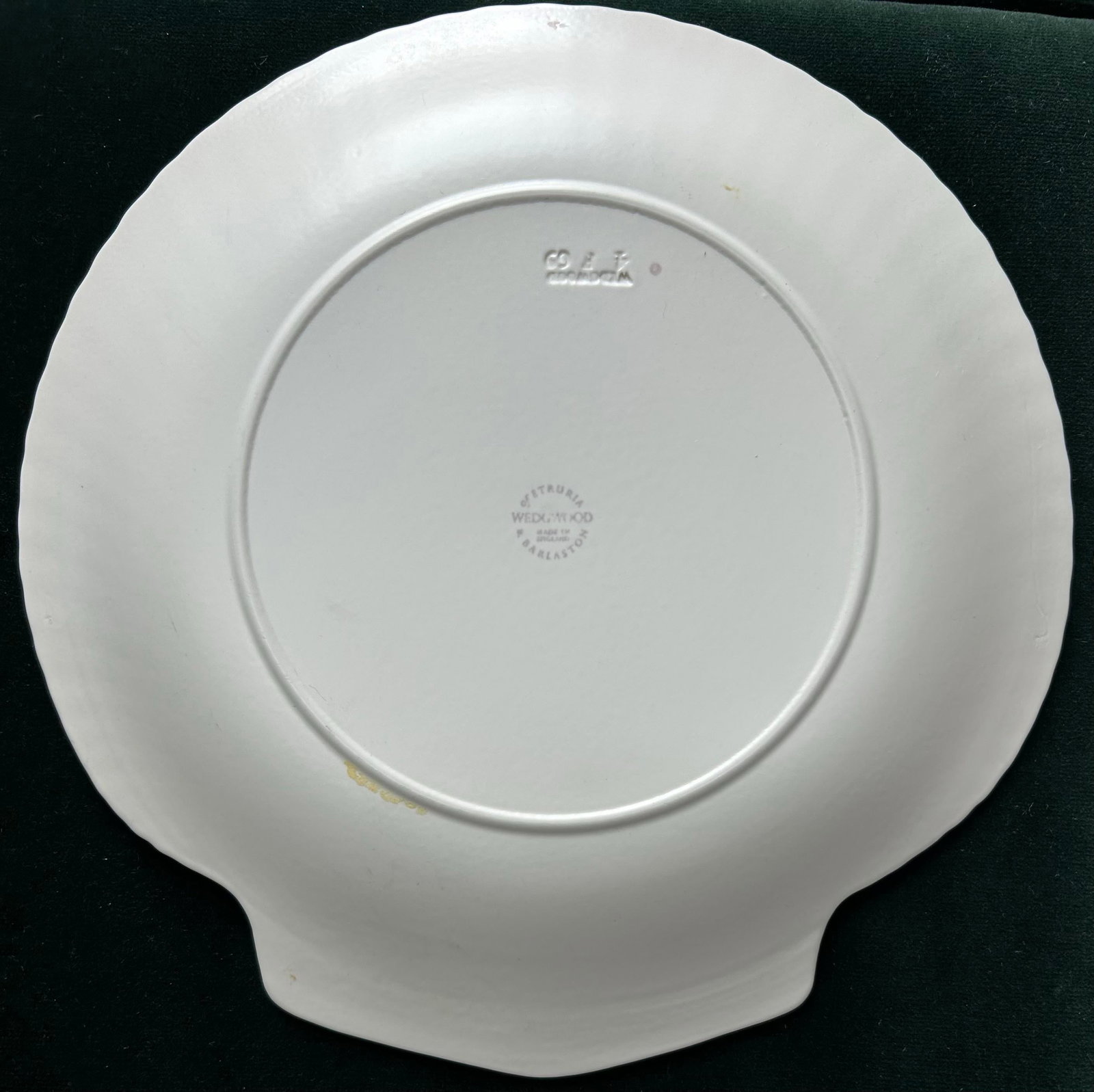Vintage 1960's Wedgwood Etruria & Barlaston 9" Scallop Shell Luncheon Plates ~ Set of 4 - 6