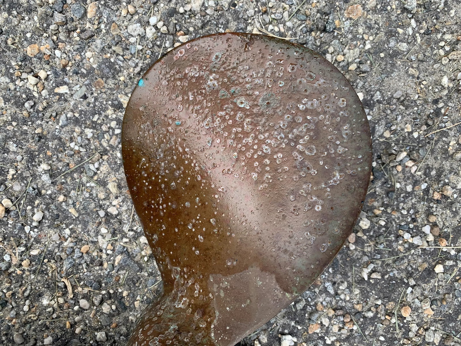 Late 20th Century Bronze Boat Propeller - 5