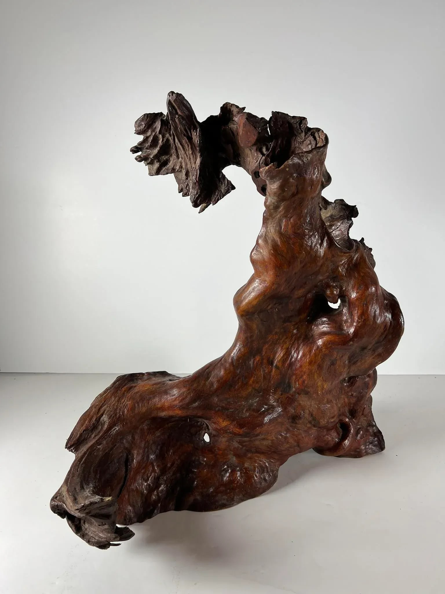 Mid 20th Century Tree Root Sculpture - 10