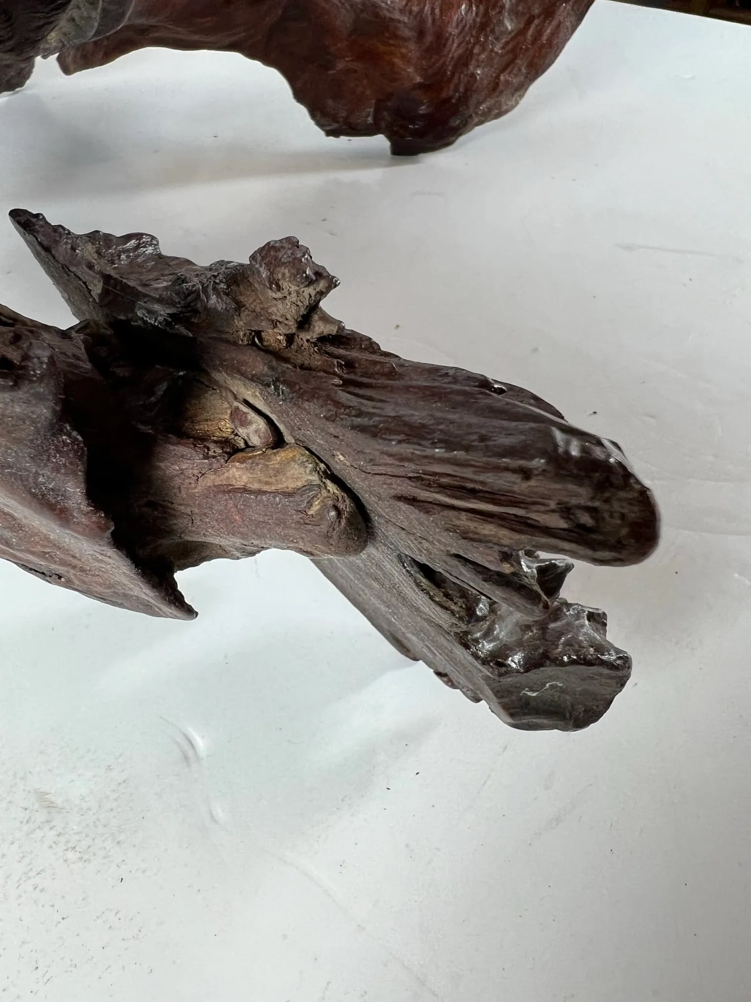 Mid 20th Century Tree Root Sculpture - 11