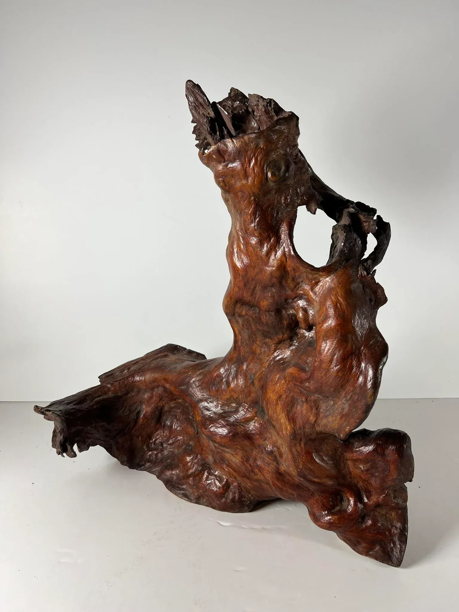 Mid 20th Century Tree Root Sculpture - 13