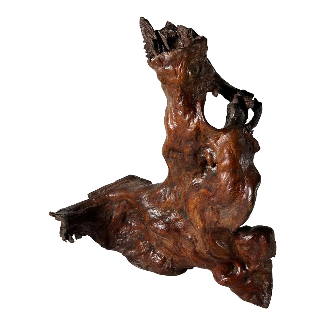 Mid 20th Century Tree Root Sculpture: This was once growing on a rock cliff and then collected by someone who saw the beauty its form and texture. I found this in a antique shop in a small town on the Pearl River Delta near Guangzhou
