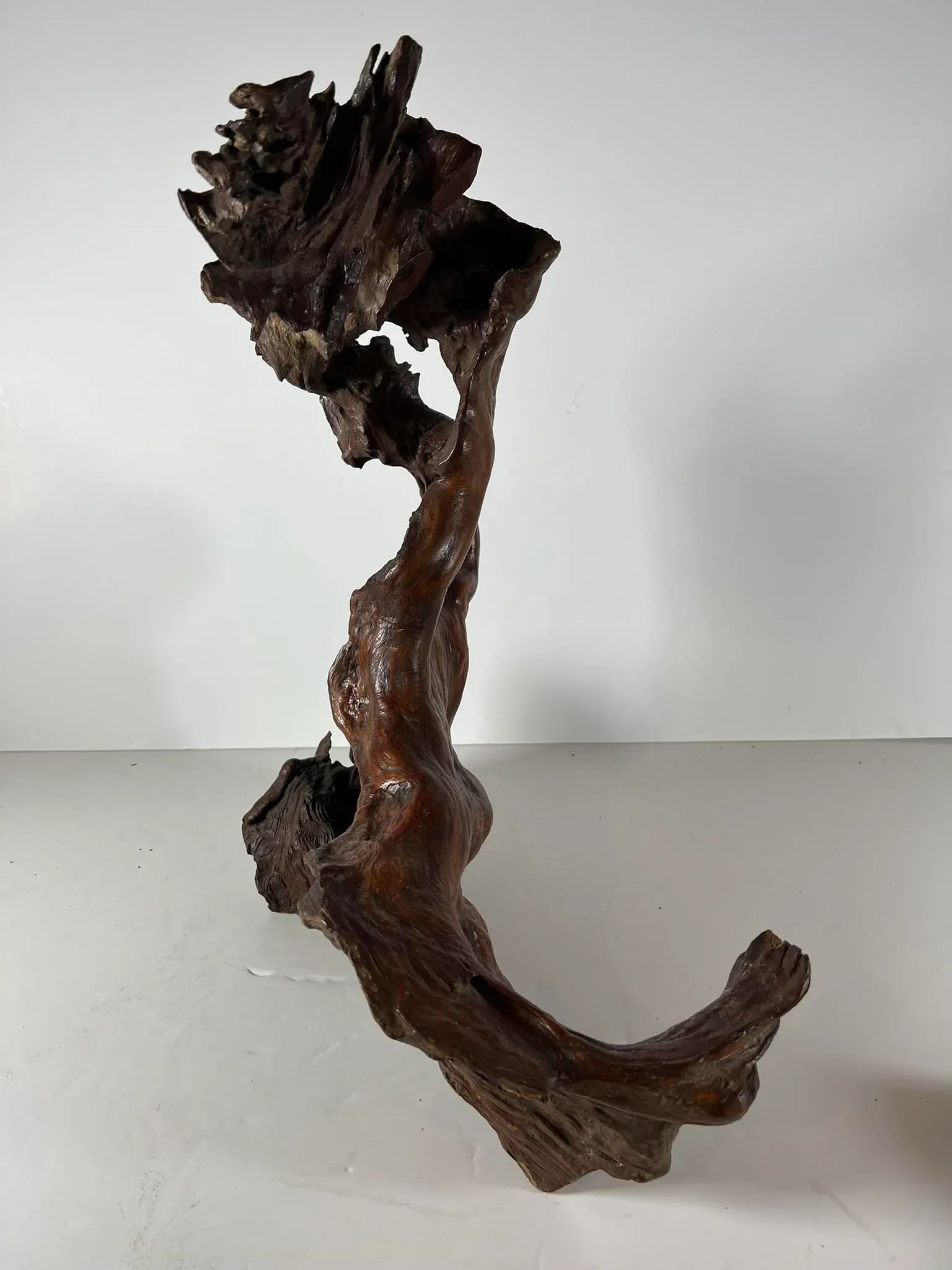 Mid 20th Century Tree Root Sculpture - 4