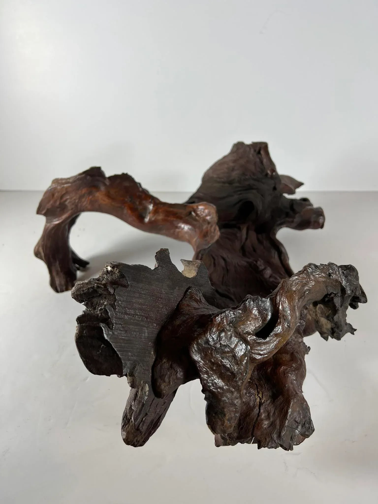 Mid 20th Century Tree Root Sculpture - 6