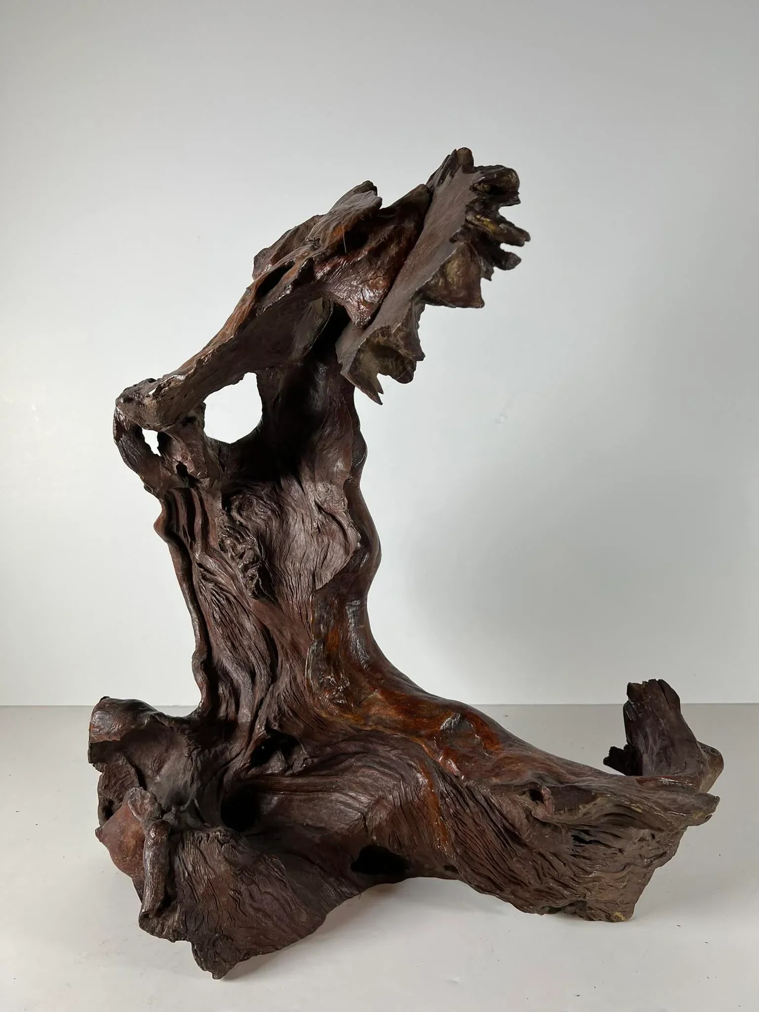 Mid 20th Century Tree Root Sculpture - 7