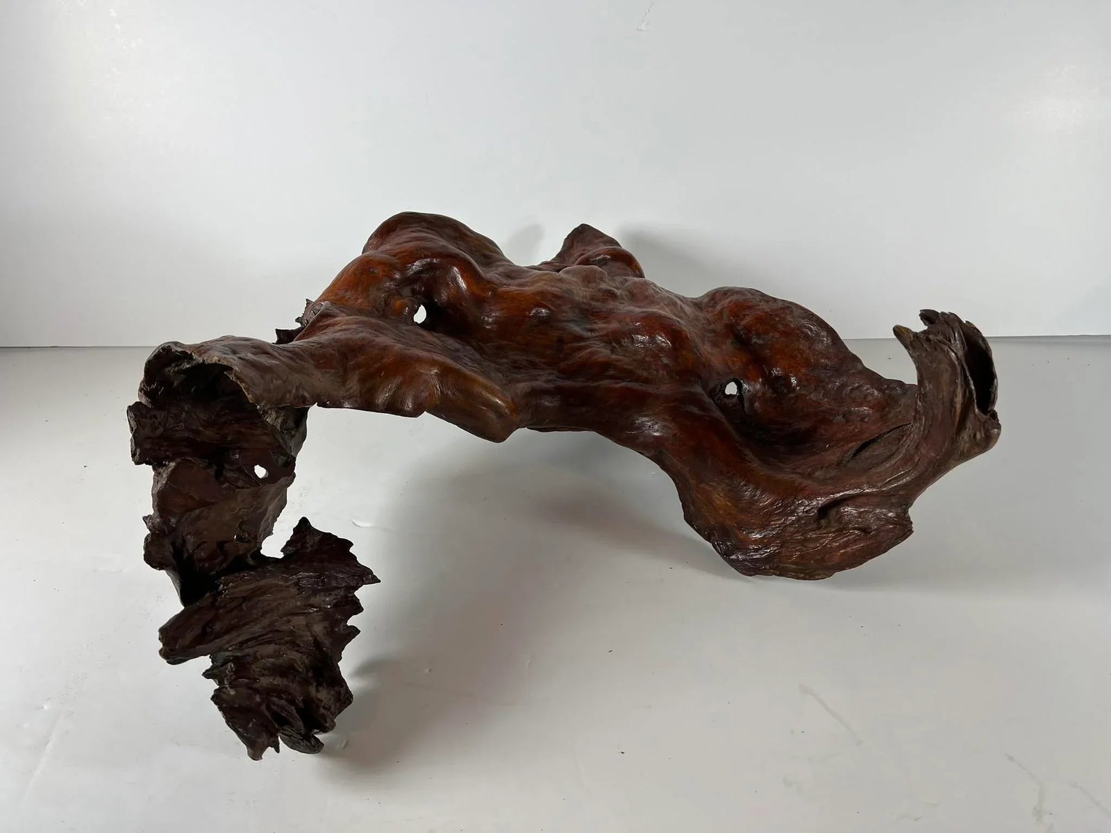 Mid 20th Century Tree Root Sculpture - 8