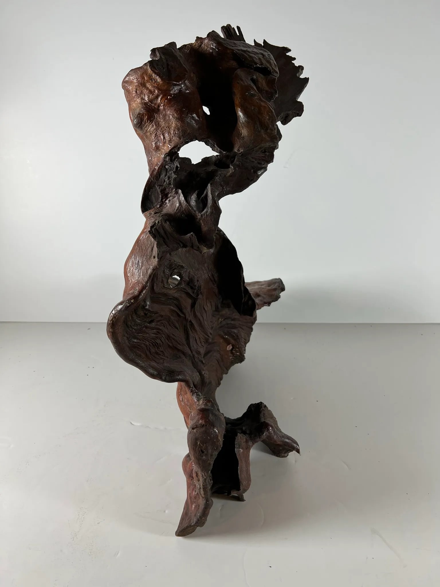 Mid 20th Century Tree Root Sculpture - 9