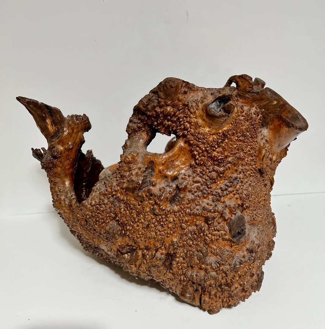 Early 21st Century Natural Root Pot for Ikebana or as Planter - 12