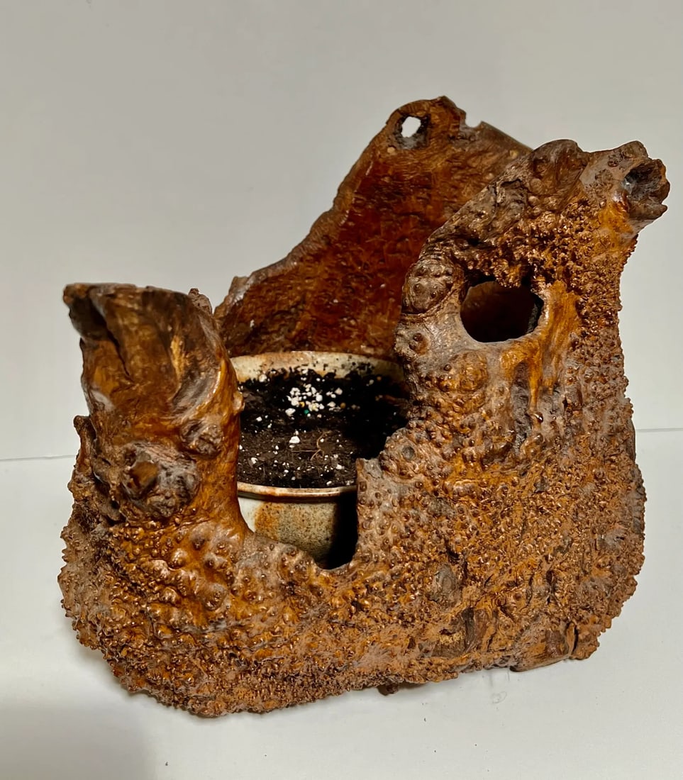 Early 21st Century Natural Root Pot for Ikebana or as Planter - 5