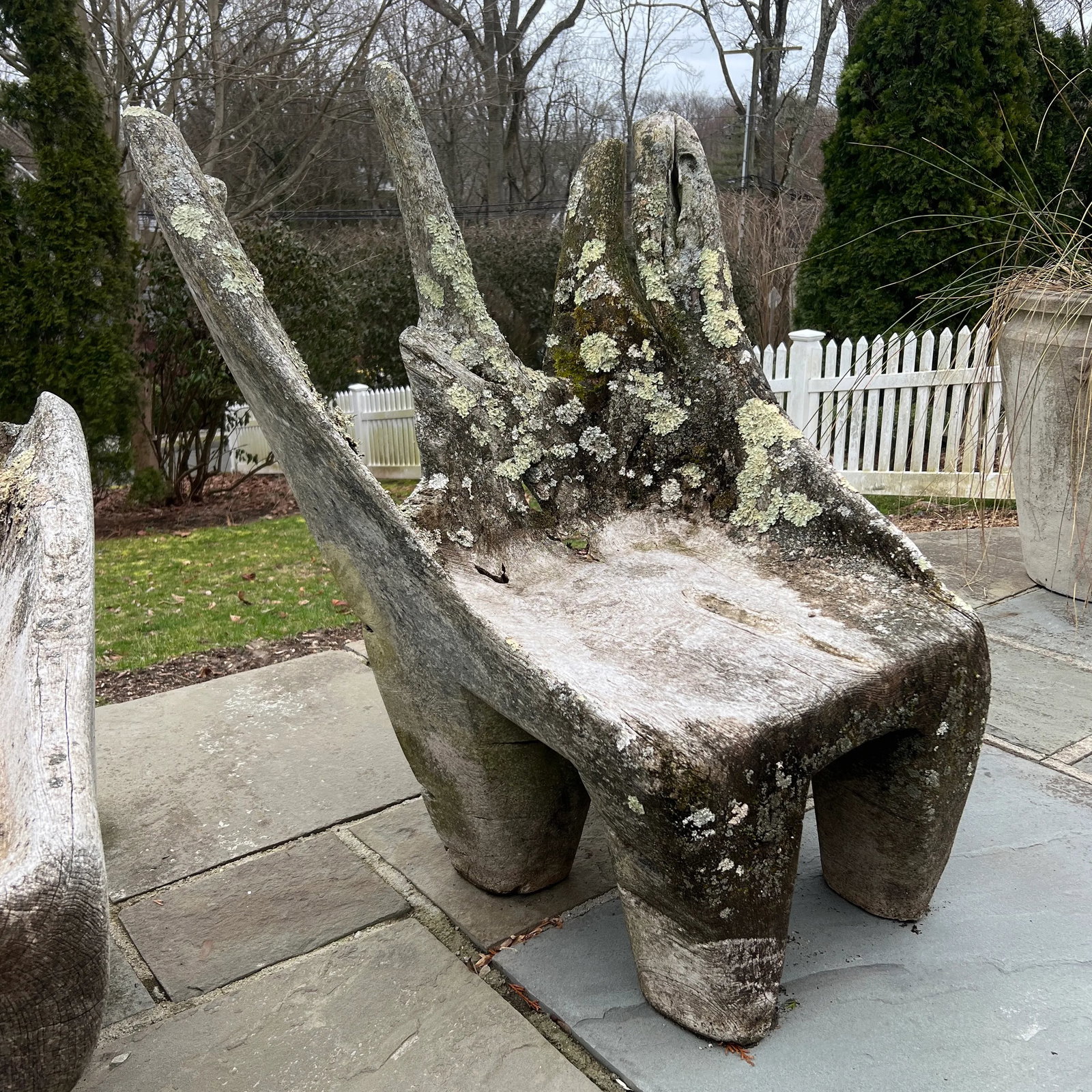 Specimen Carved Driftwood Outdoor Chair - 2
