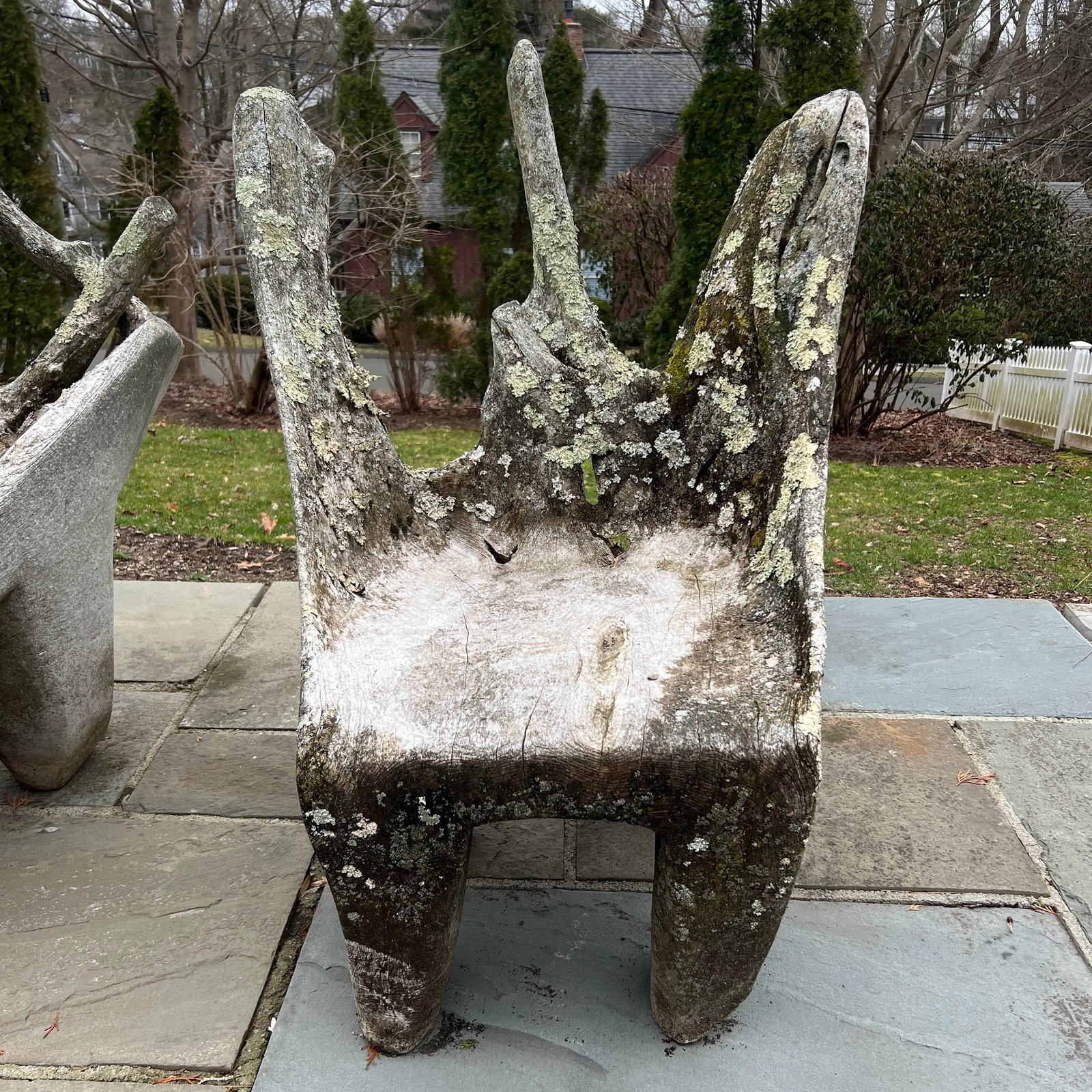 Specimen Carved Driftwood Outdoor Chair - 4