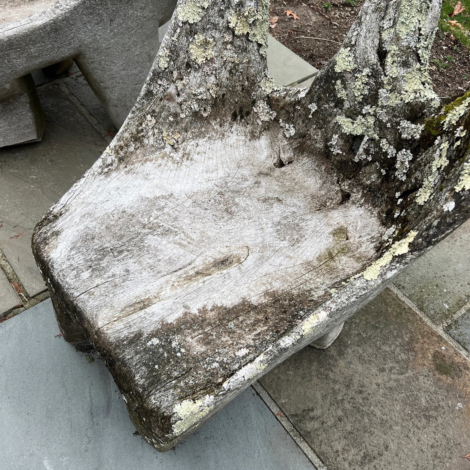 Specimen Carved Driftwood Outdoor Chair - 6