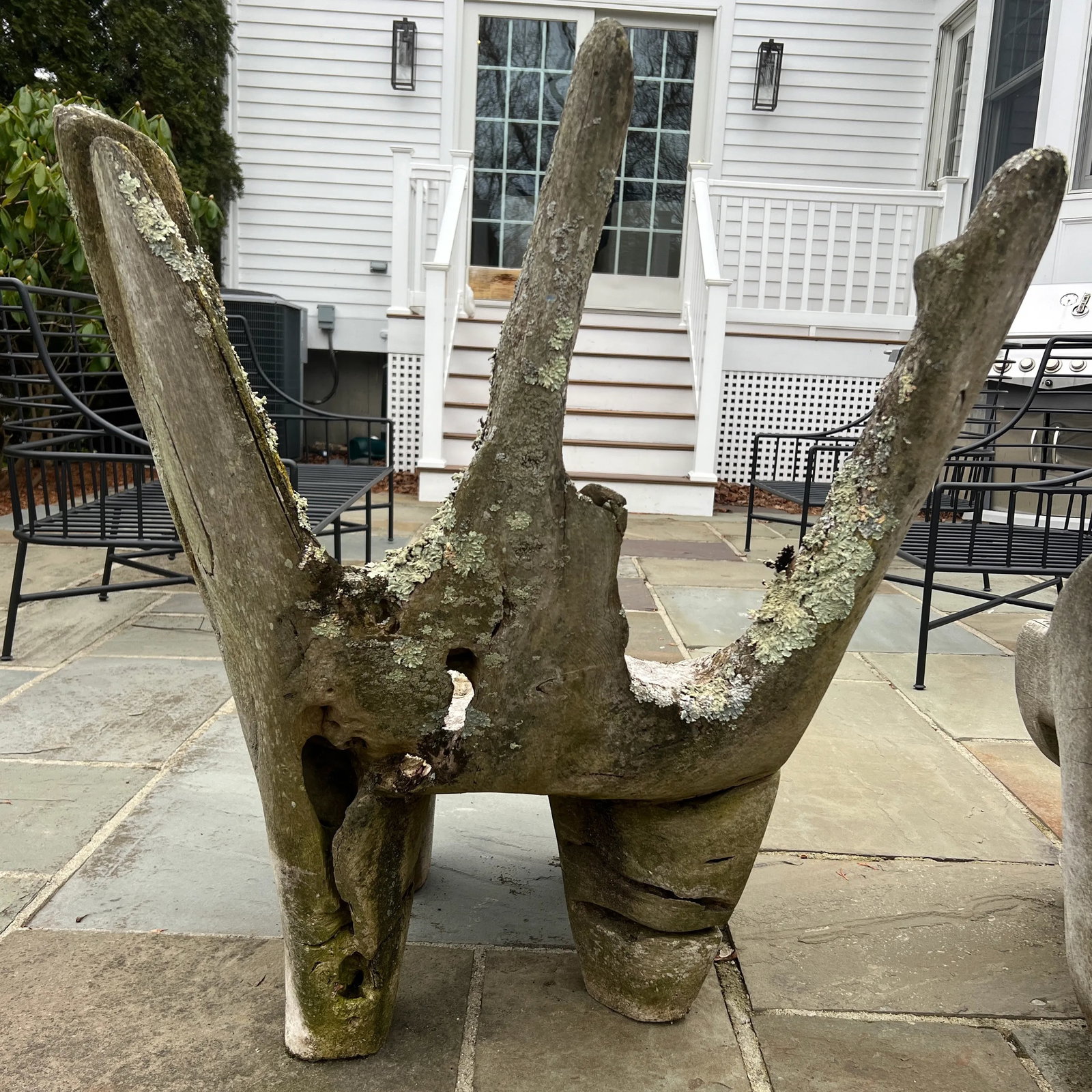 Specimen Carved Driftwood Outdoor Chair - 8