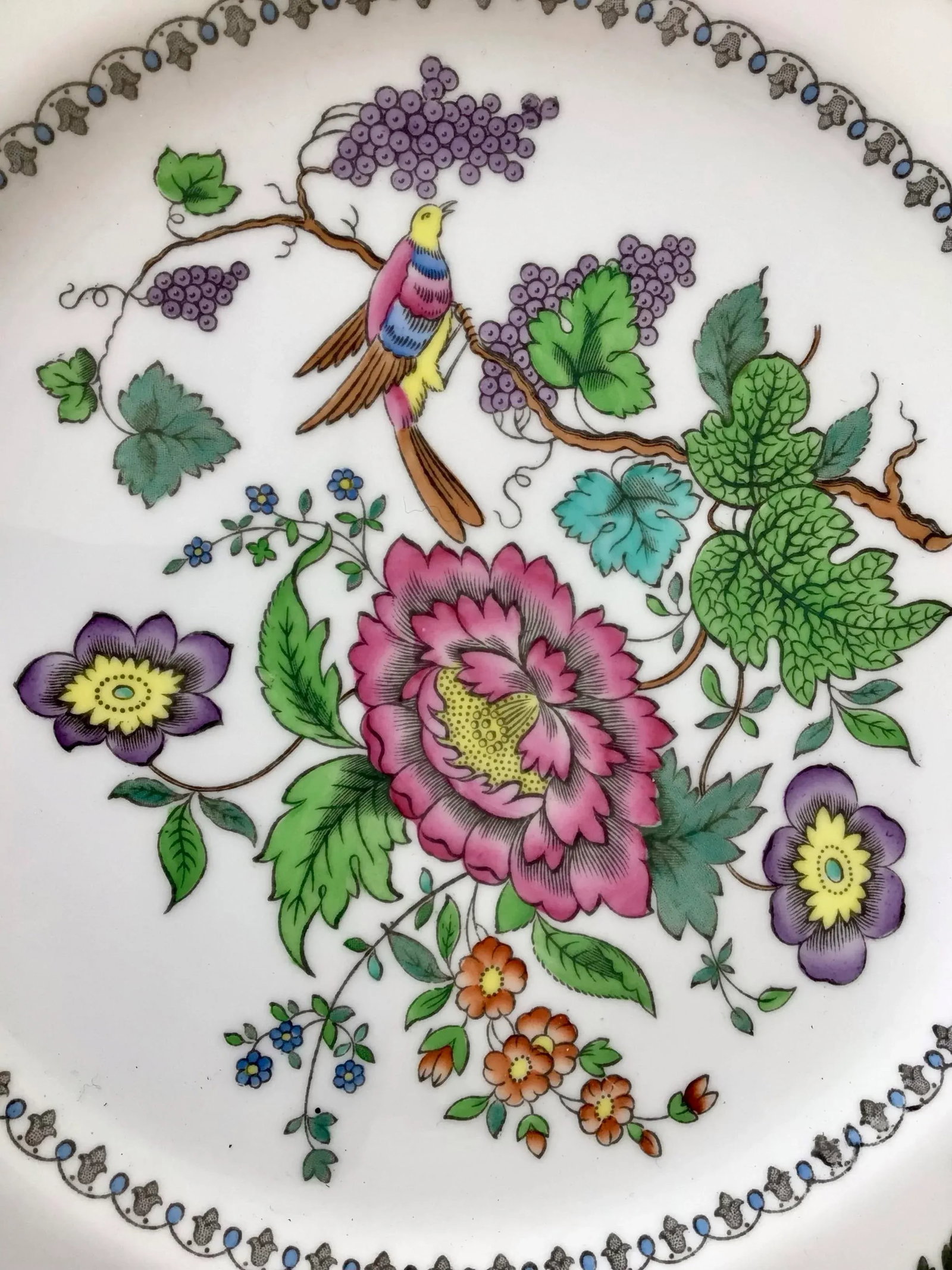 40 Plates - Spode Copeland English Bone China in Chinese Rose Pattern - 9