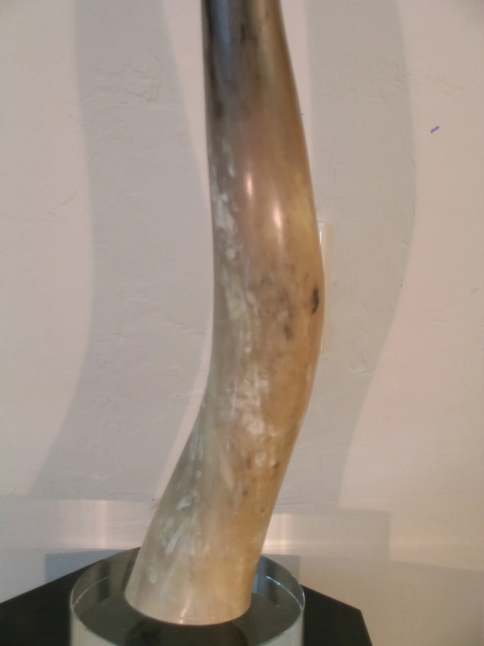 Decorative Tall Bull Horn on Glass Base - 2