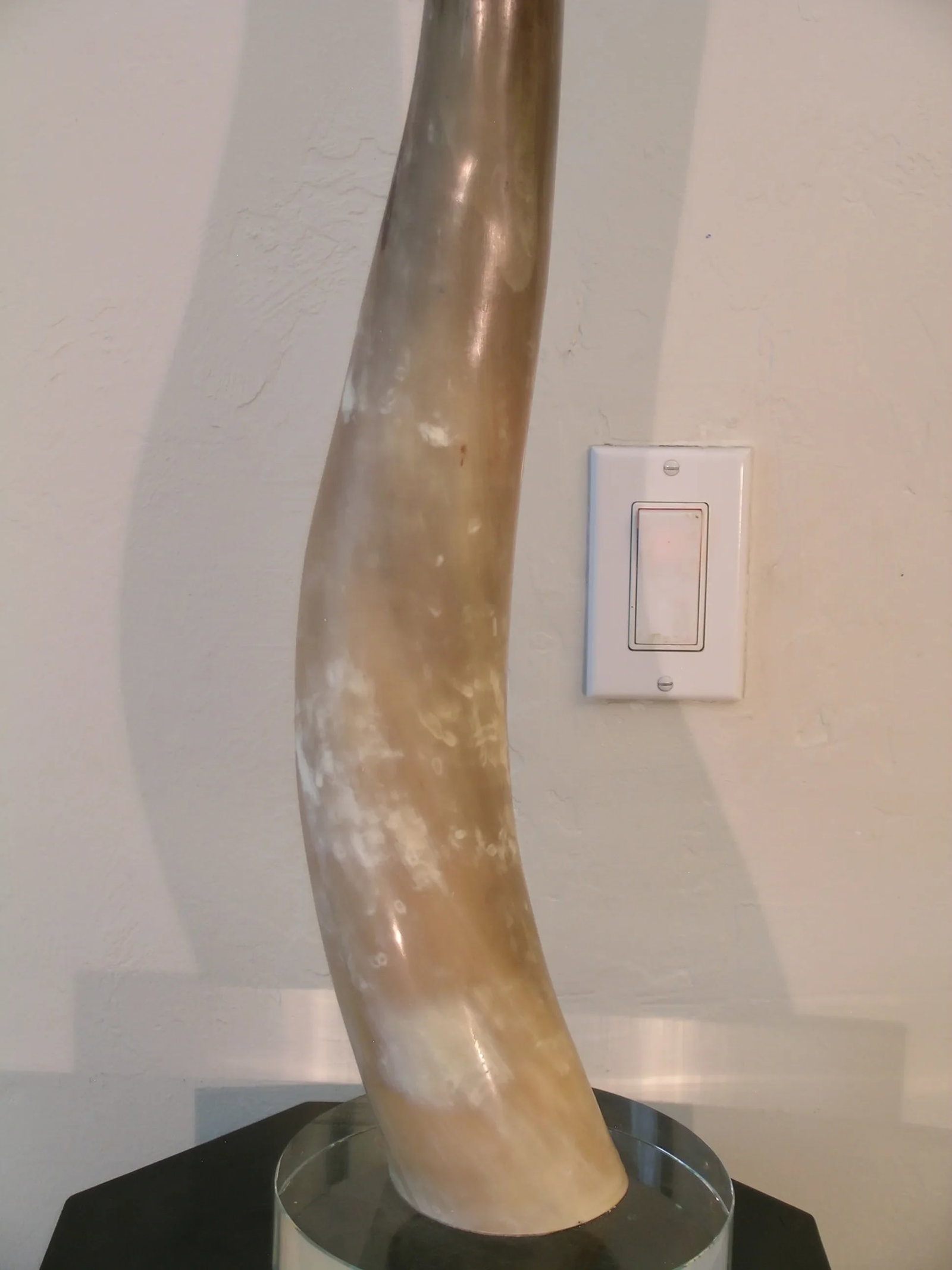 Decorative Tall Bull Horn on Glass Base - 3