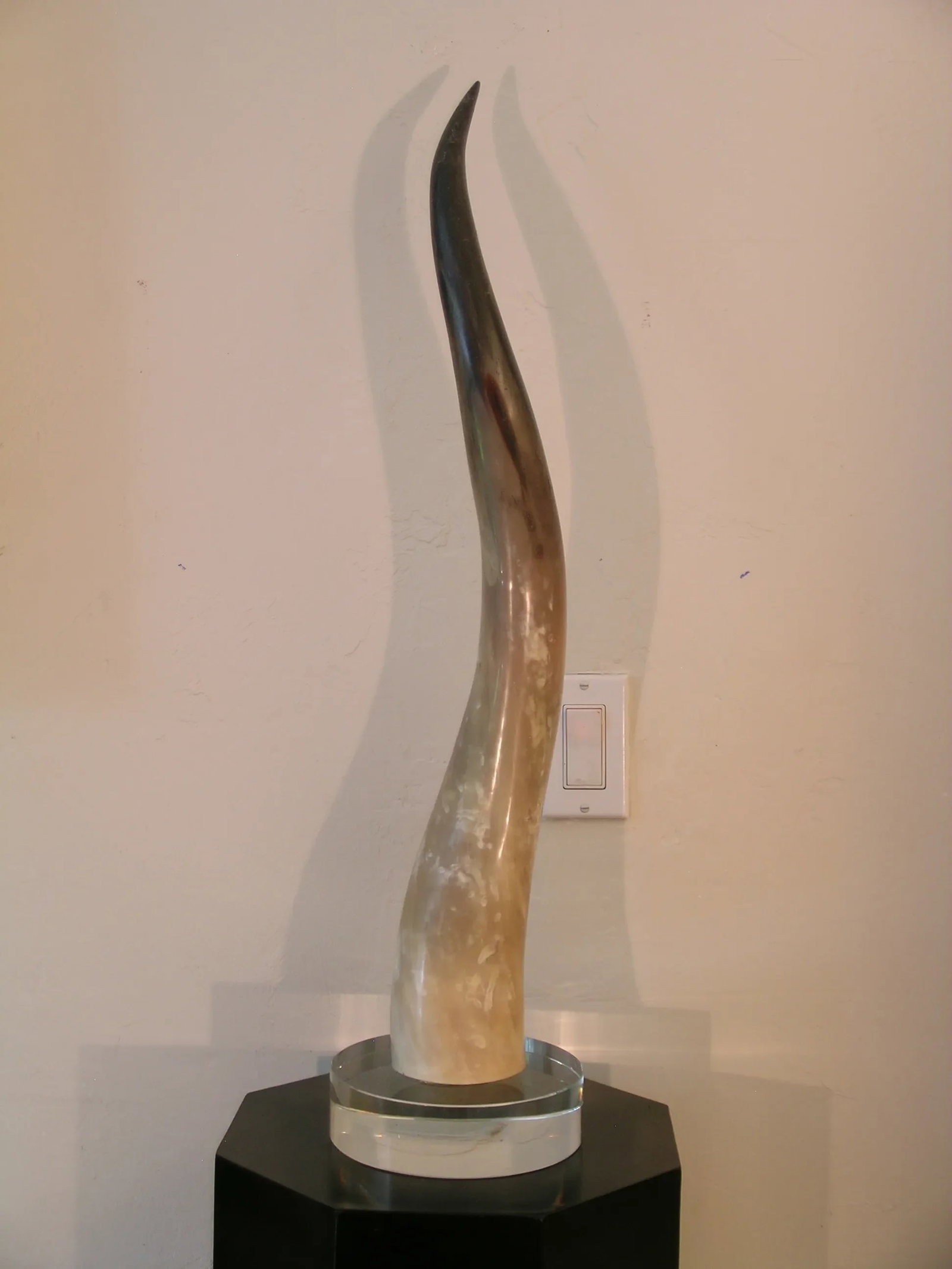 Decorative Tall Bull Horn on Glass Base - 4