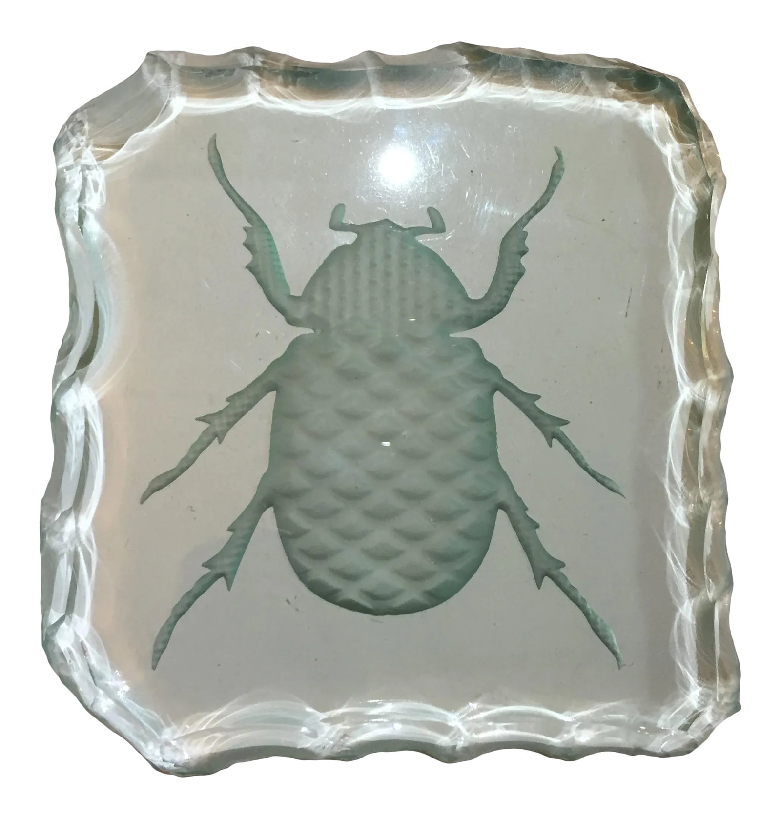 Glass Engraved Scarab Beetle Coaster: Mid-Century Glass Engraved Scarab Beetle Bug Coaster "Software Bug Motif" for a fun conversation starter. When this coaster is put on a white or light surface, it appears clear or greenish; on a dark