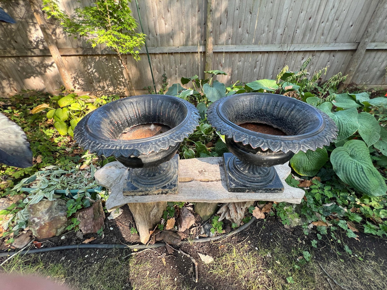 Antique Classical Cast Iron Garden Planters Urns- a Pair - 6