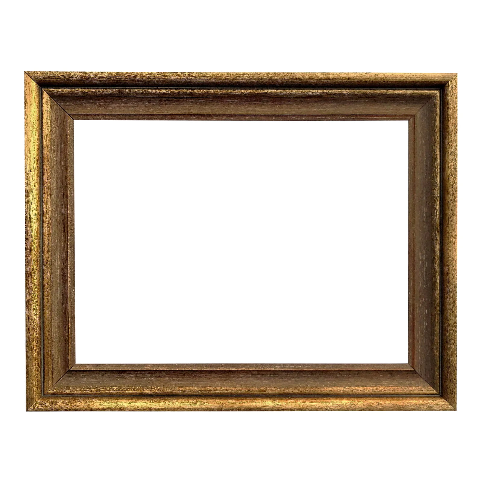 Vintage Gold Frame (1 of 4)