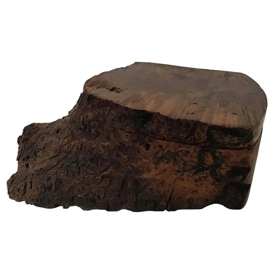 Natural Form Burl Wood Box - 10