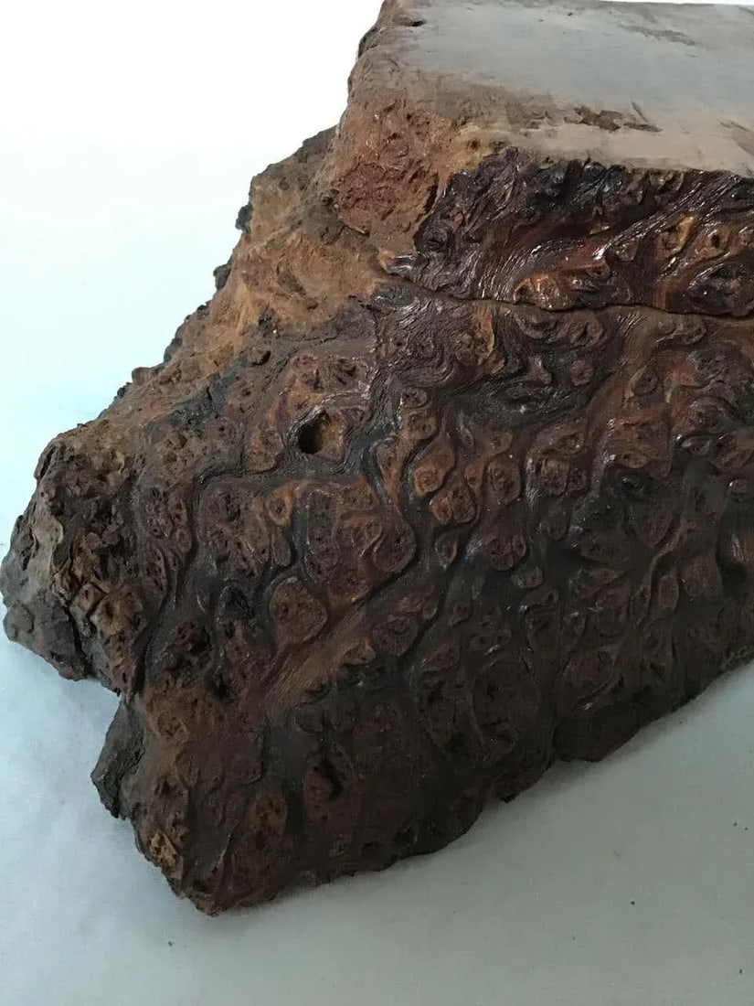 Natural Form Burl Wood Box - 3