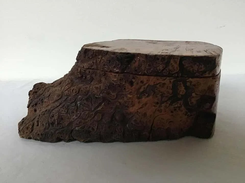 Natural Form Burl Wood Box - 4