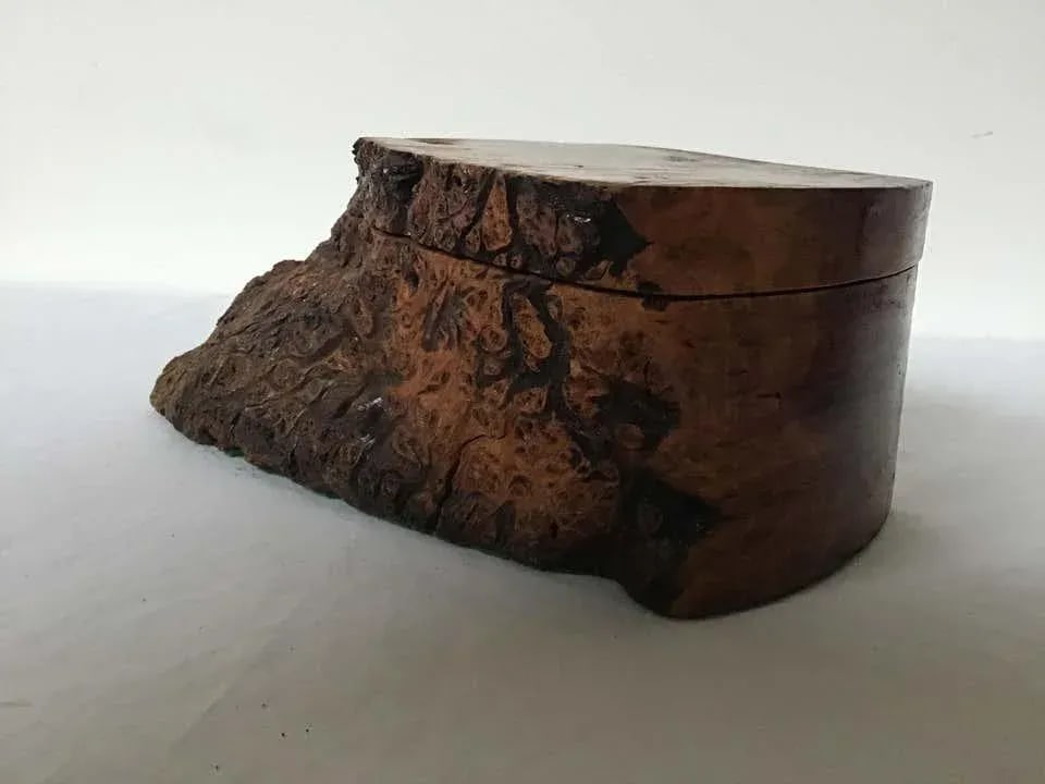 Natural Form Burl Wood Box - 5
