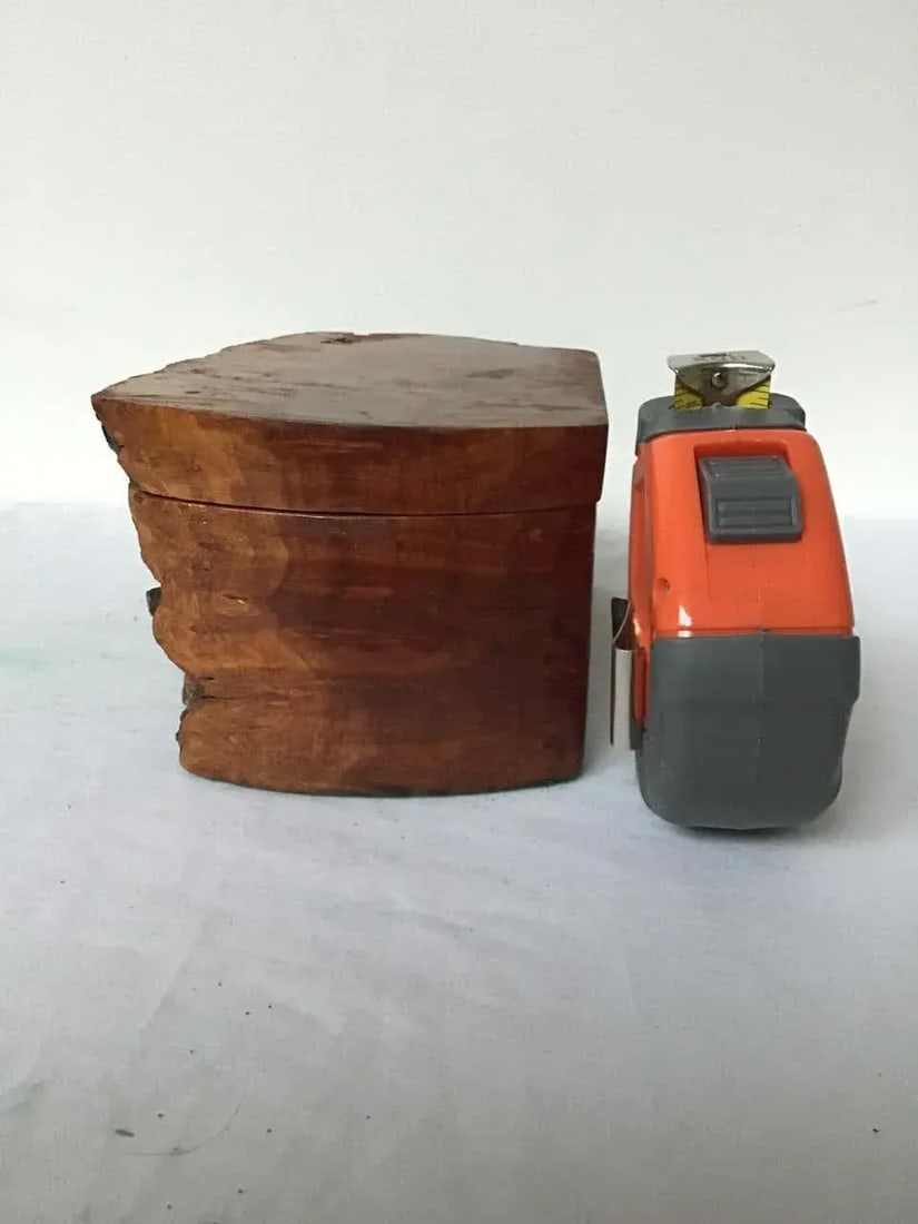Natural Form Burl Wood Box - 6