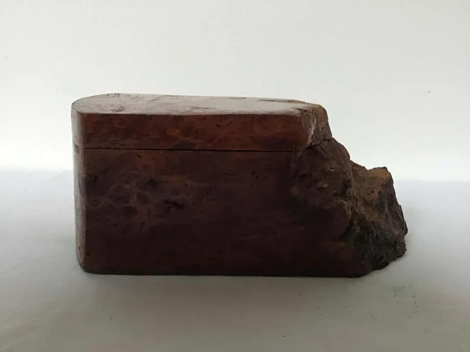 Natural Form Burl Wood Box - 7