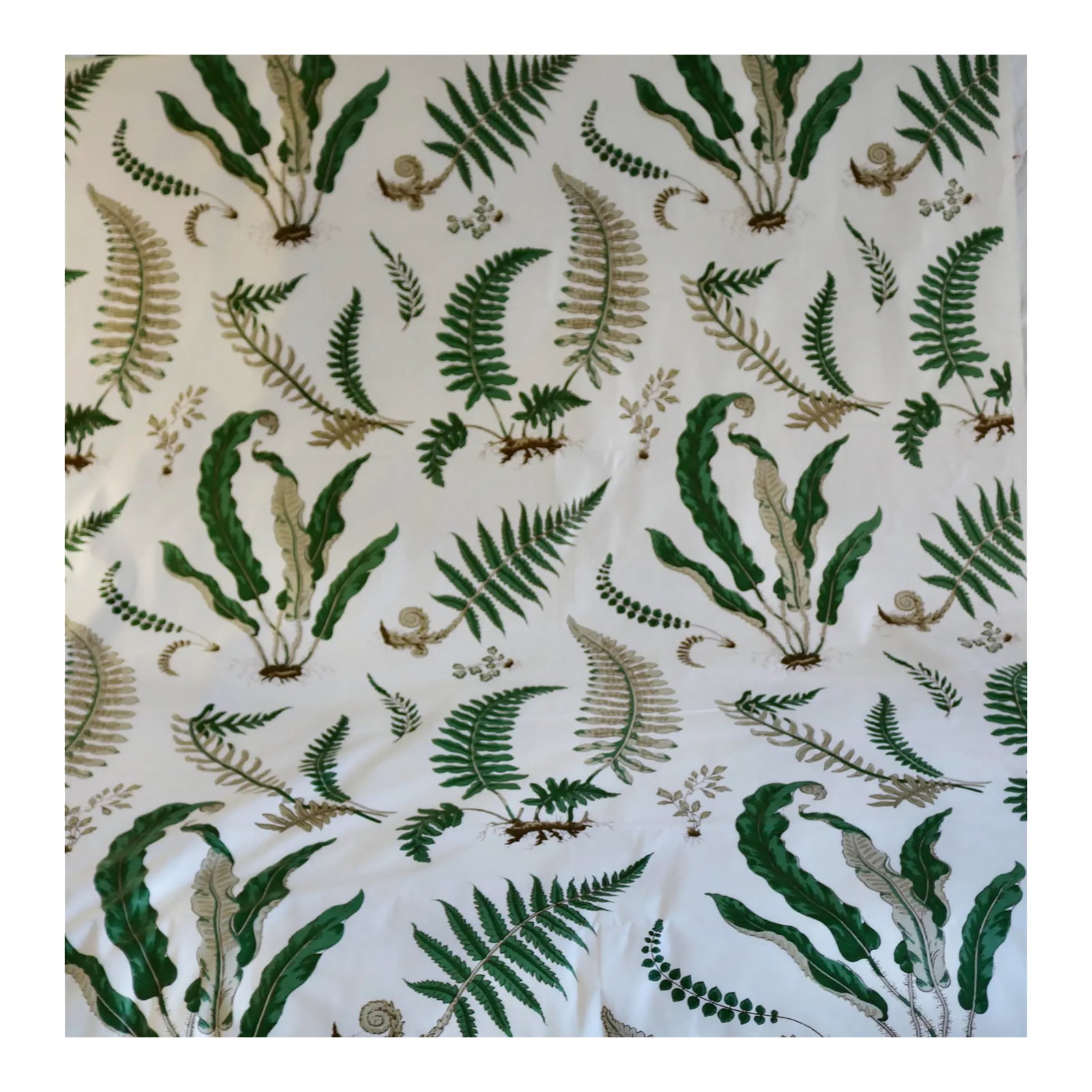 Scalamadre Elise De Wolf Design Chintz Ferns on White Fabric- 3.67 Yards (1 of 3)