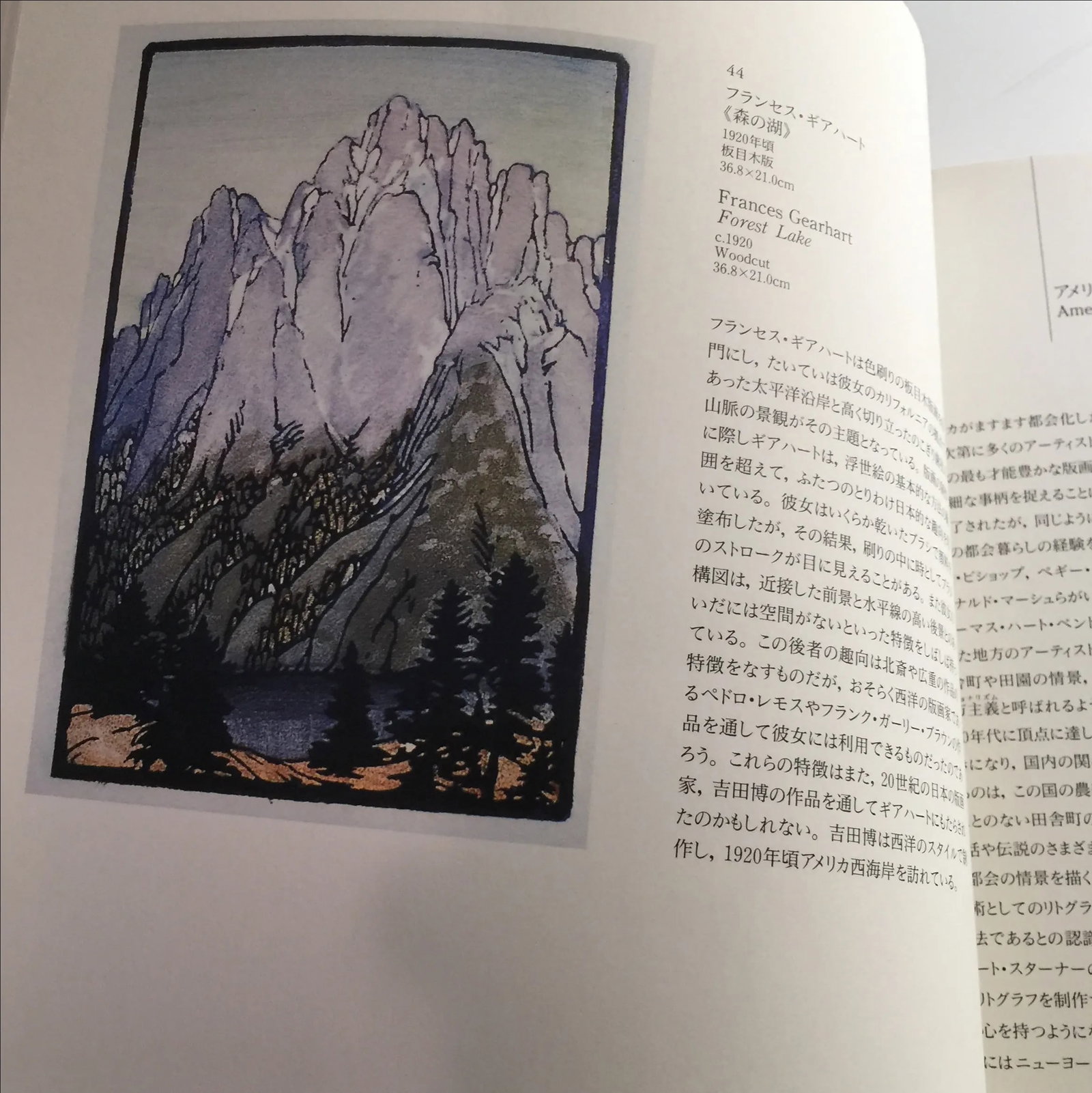 From Whistler to Warhol American Printmaking - 7
