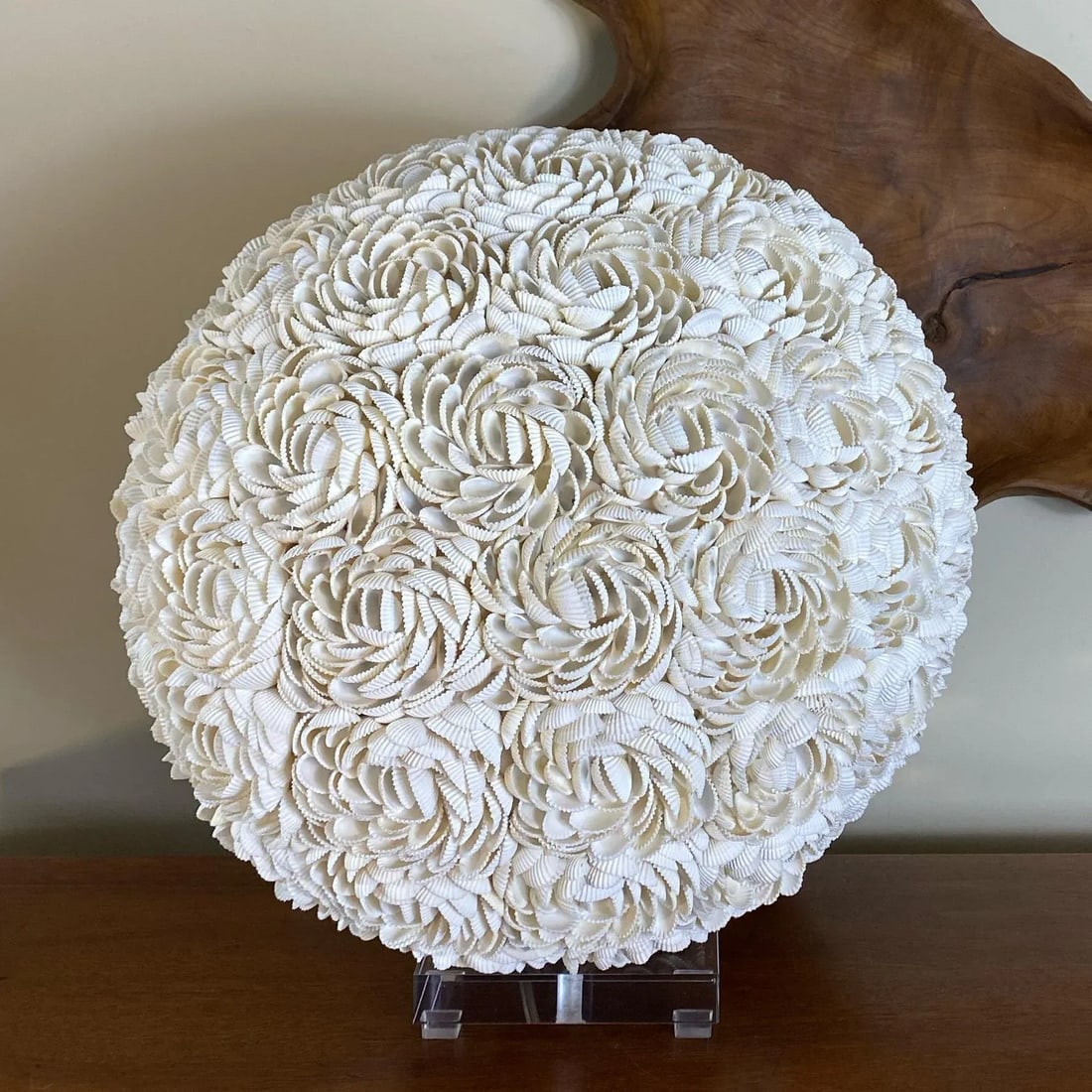 Shell Covered Orb Light Fixture on Lucite Base - 4