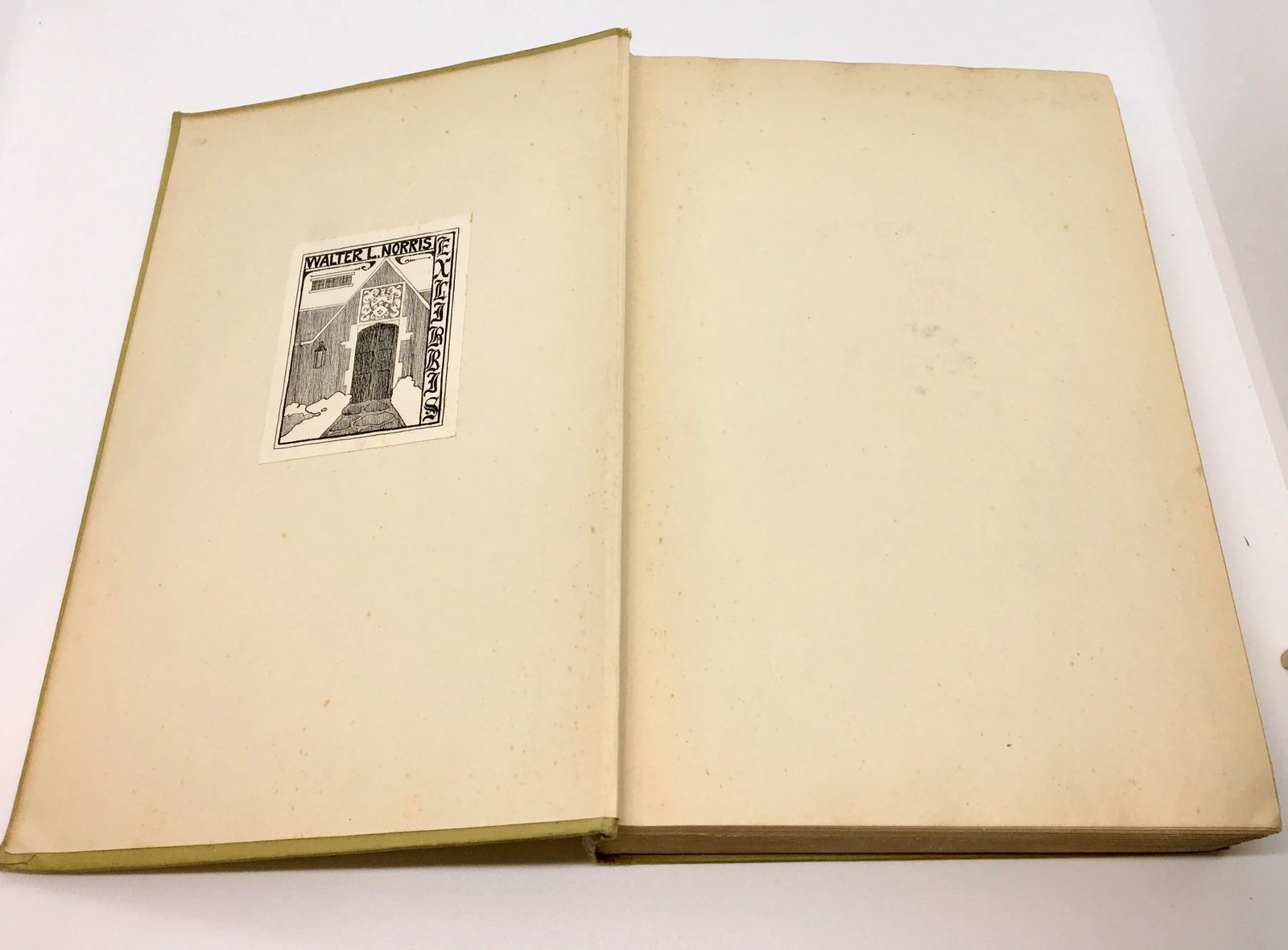 1928 First Edition/First Print The Intelligent Woman's Guide to Socialism and Capitalism Book by Ber - 5