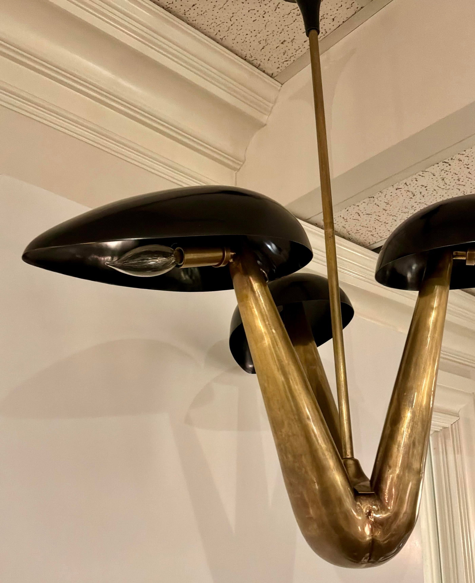Arteries Modern Black and Gold Everglades Chandelier - 4